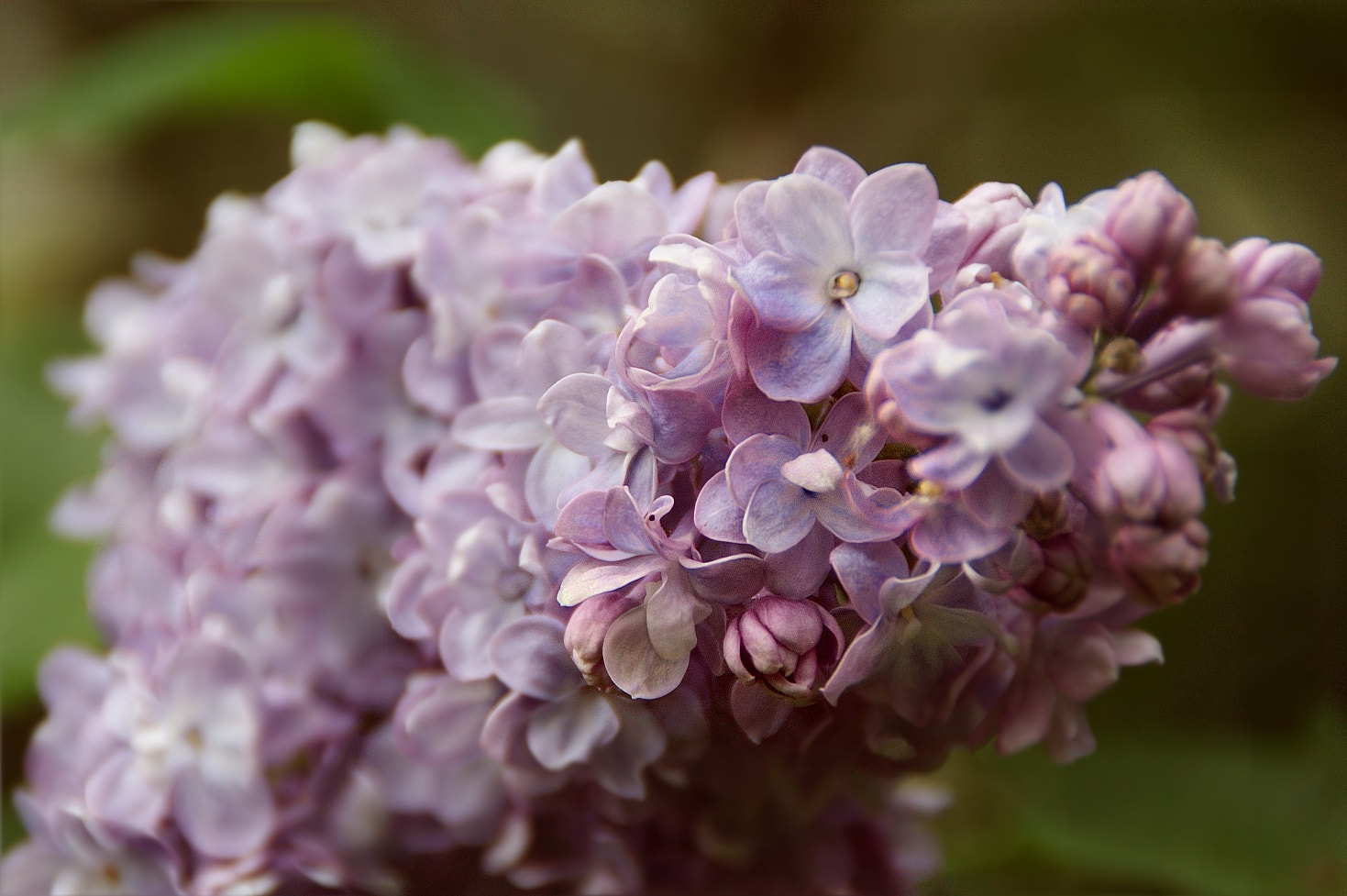 Sony DT 18-200mm F3.5-6.3 sample photo