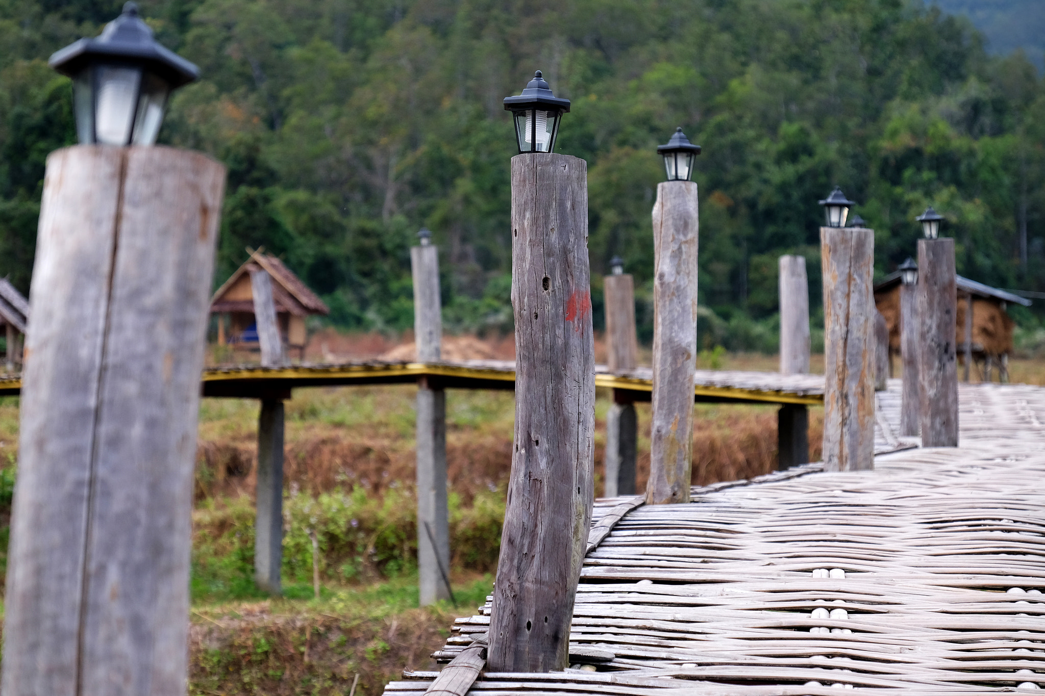 Fujifilm X-T10 + Fujifilm XF 18-135mm F3.5-5.6 R LM OIS WR sample photo. Bamboo bridge photography