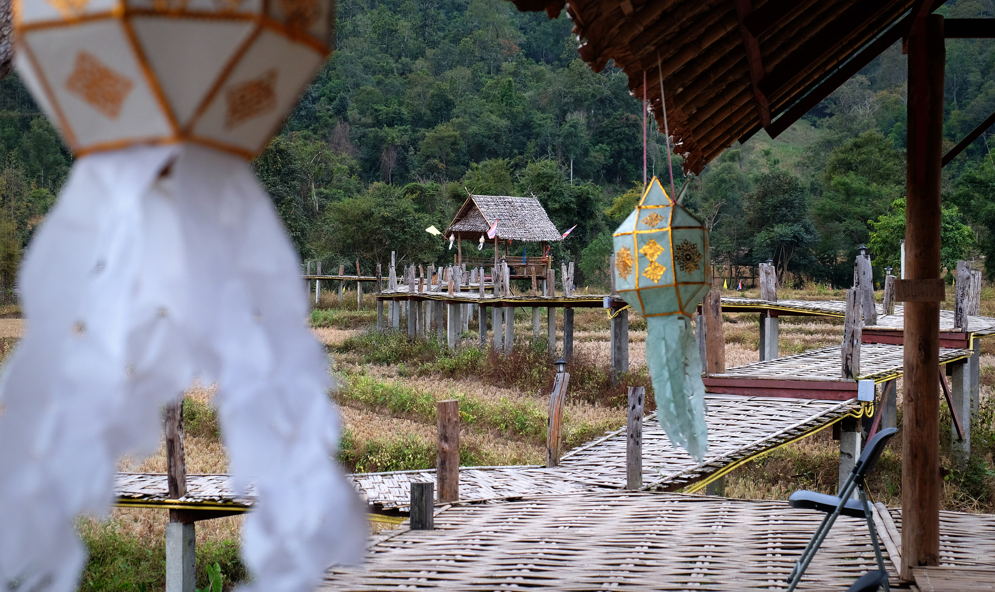 Fujifilm X-T10 + Fujifilm XF 18-135mm F3.5-5.6 R LM OIS WR sample photo. Bamboo bridge ii photography