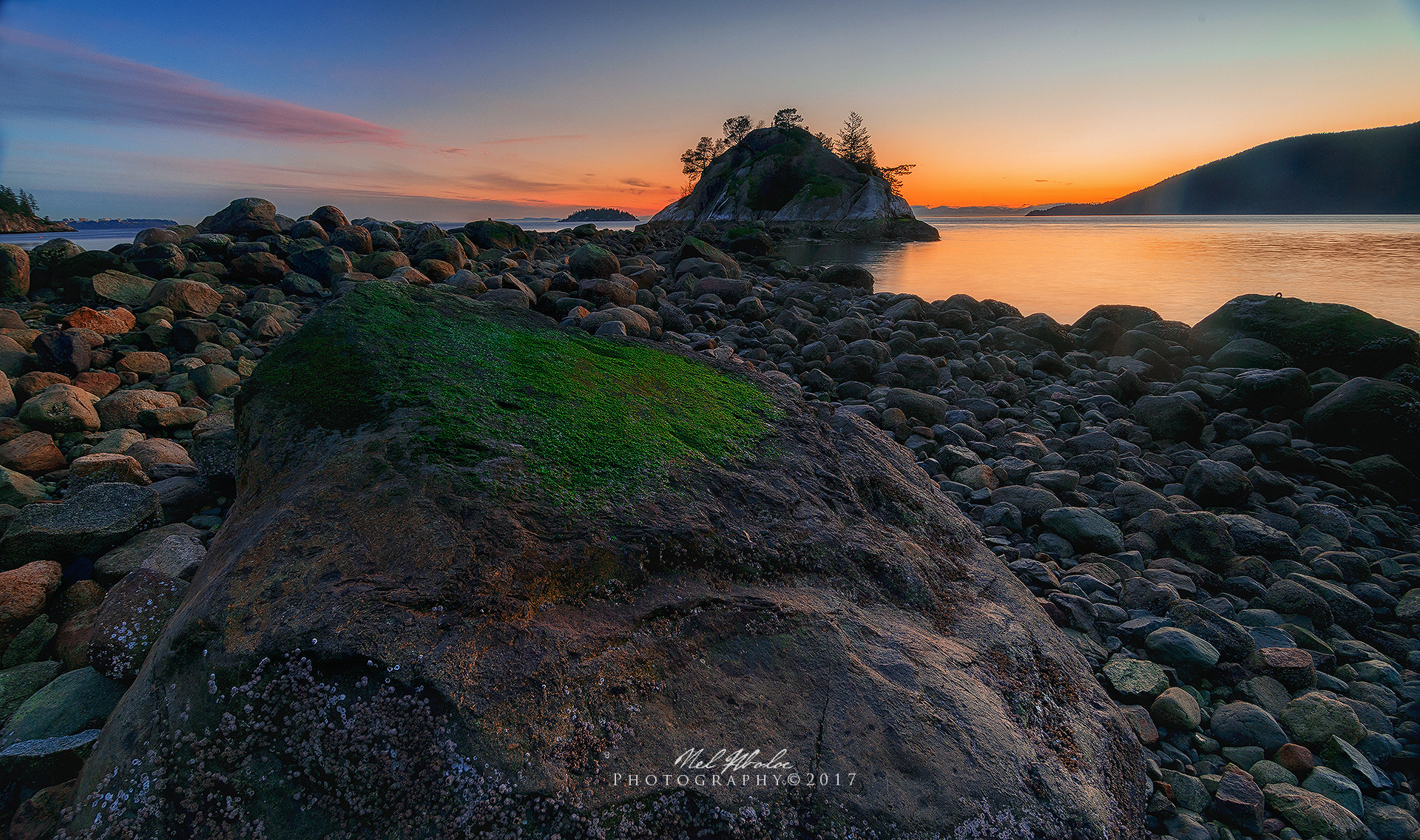 Nikon D800 sample photo. Primary colors photography