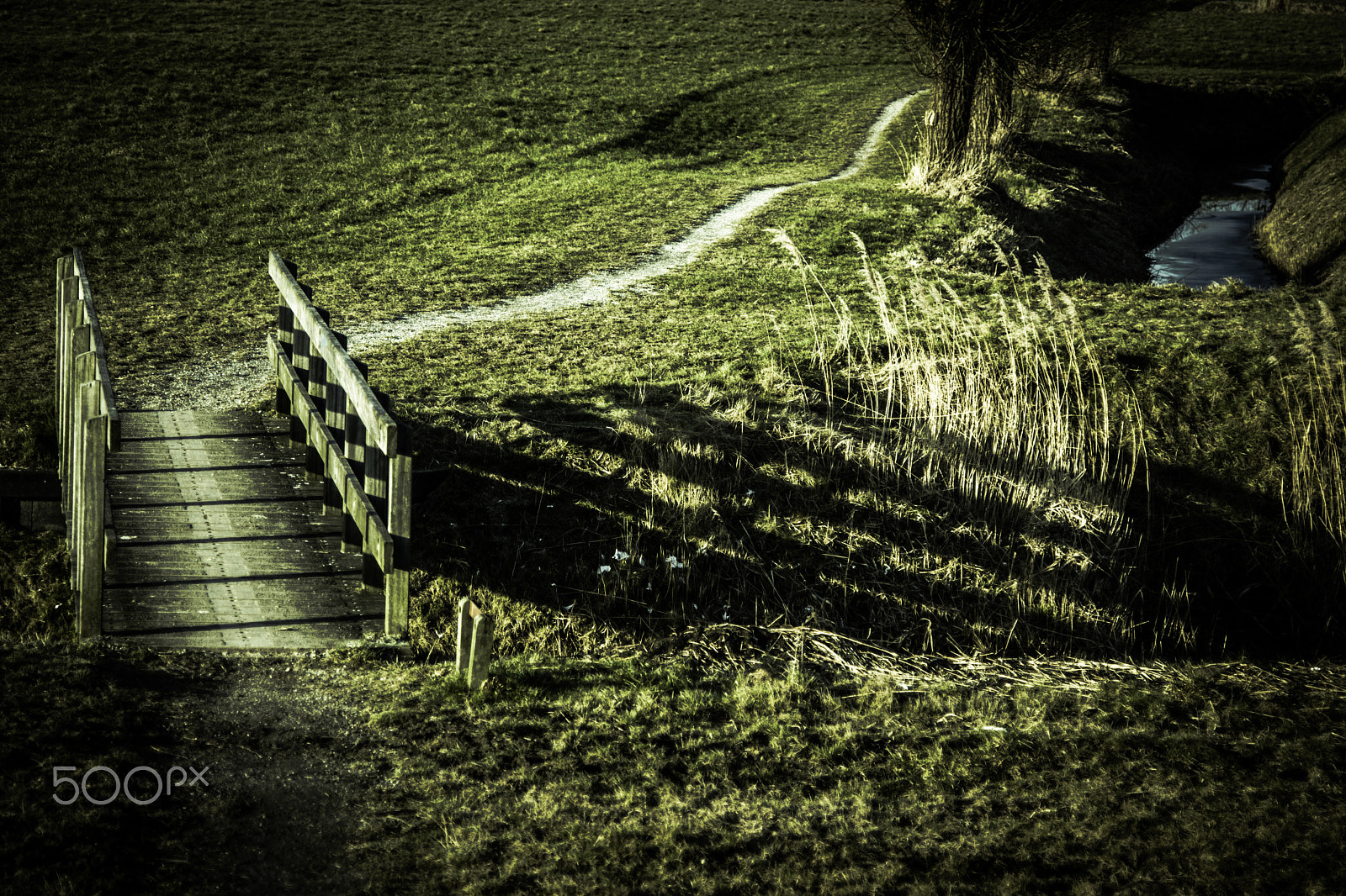 Canon EOS 40D + Canon EF 24-105mm F4L IS USM sample photo. Bridge opwierde photography