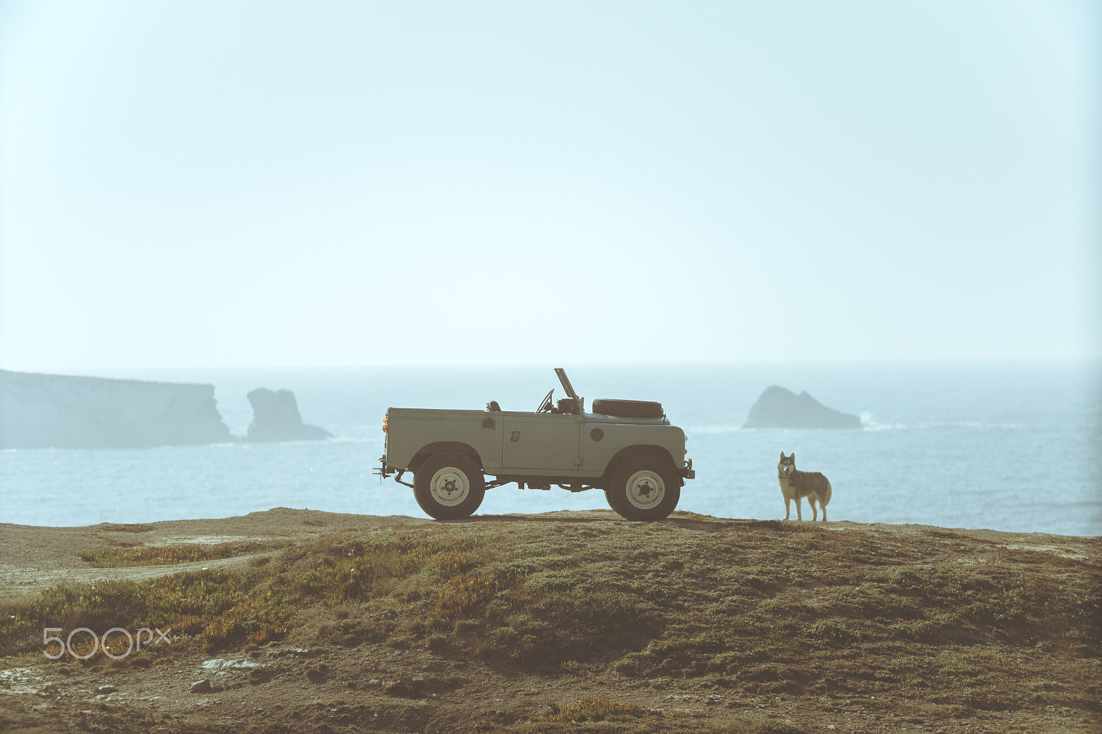 Sony Alpha NEX-7 + Sony 70-400mm F4-5.6 G SSM sample photo. Land rover and the wolf photography