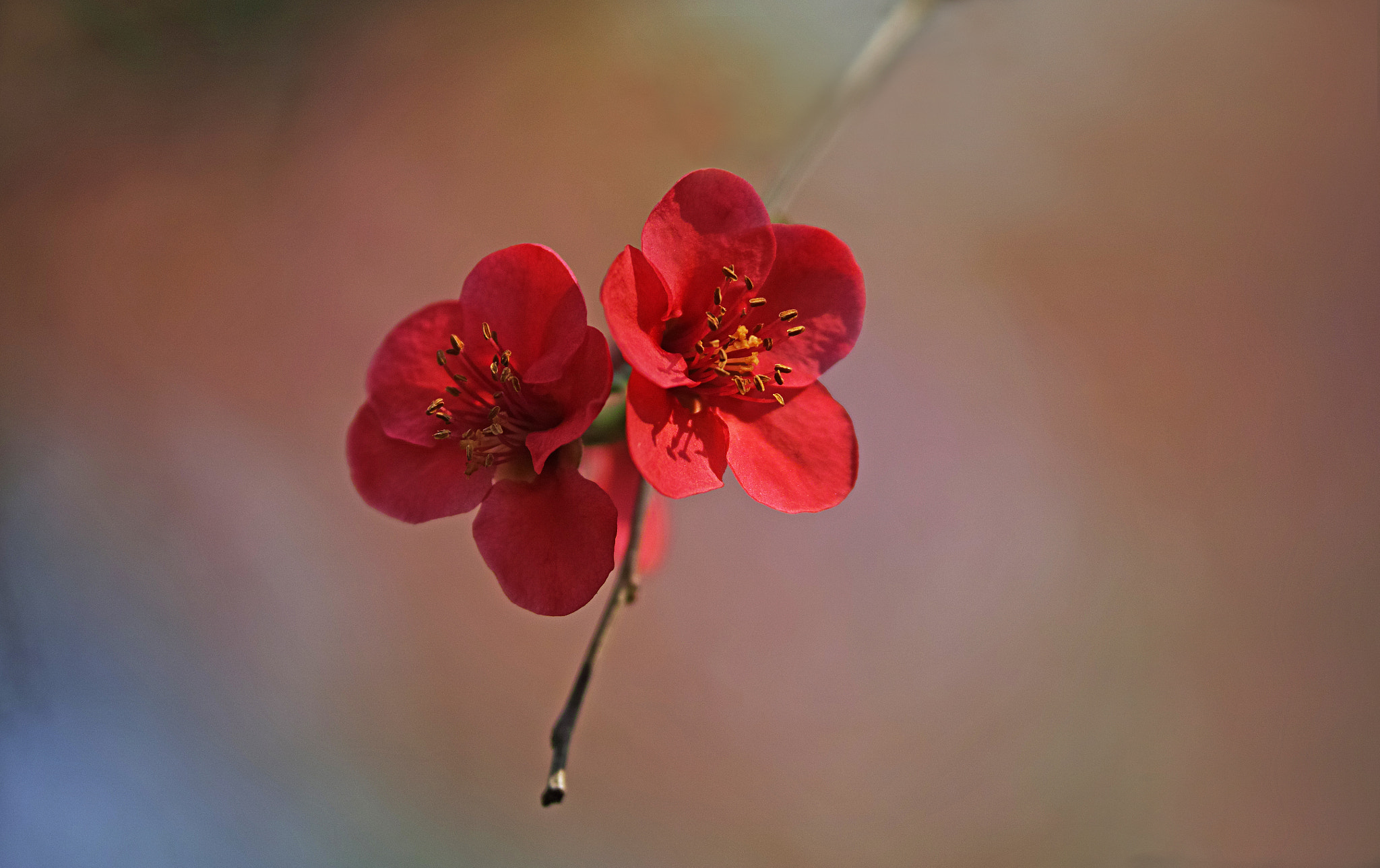 Sigma sd Quattro sample photo