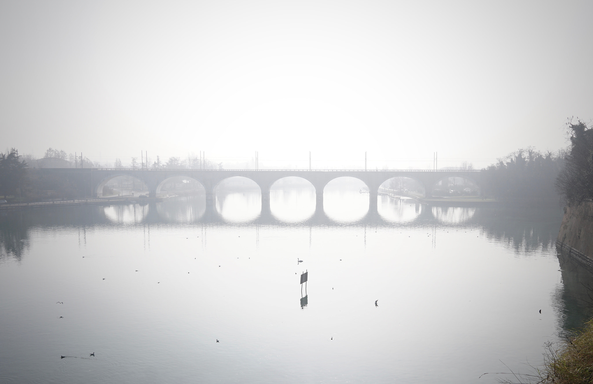 Sony a6300 + Sigma 19mm F2.8 EX DN sample photo. Bridge photography