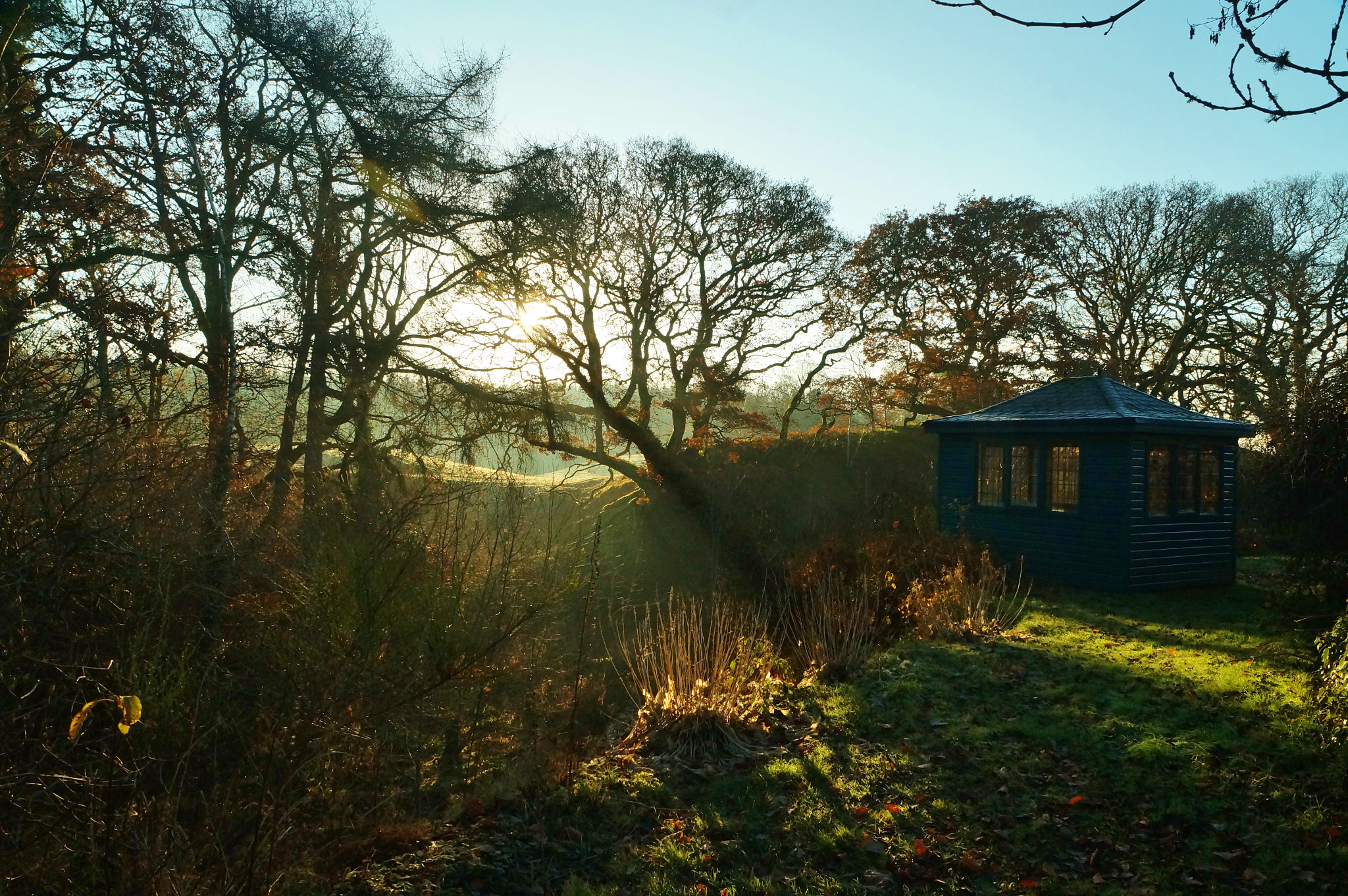 Sony SLT-A37 + Sony DT 16-50mm F2.8 SSM sample photo. Radient tranquility photography