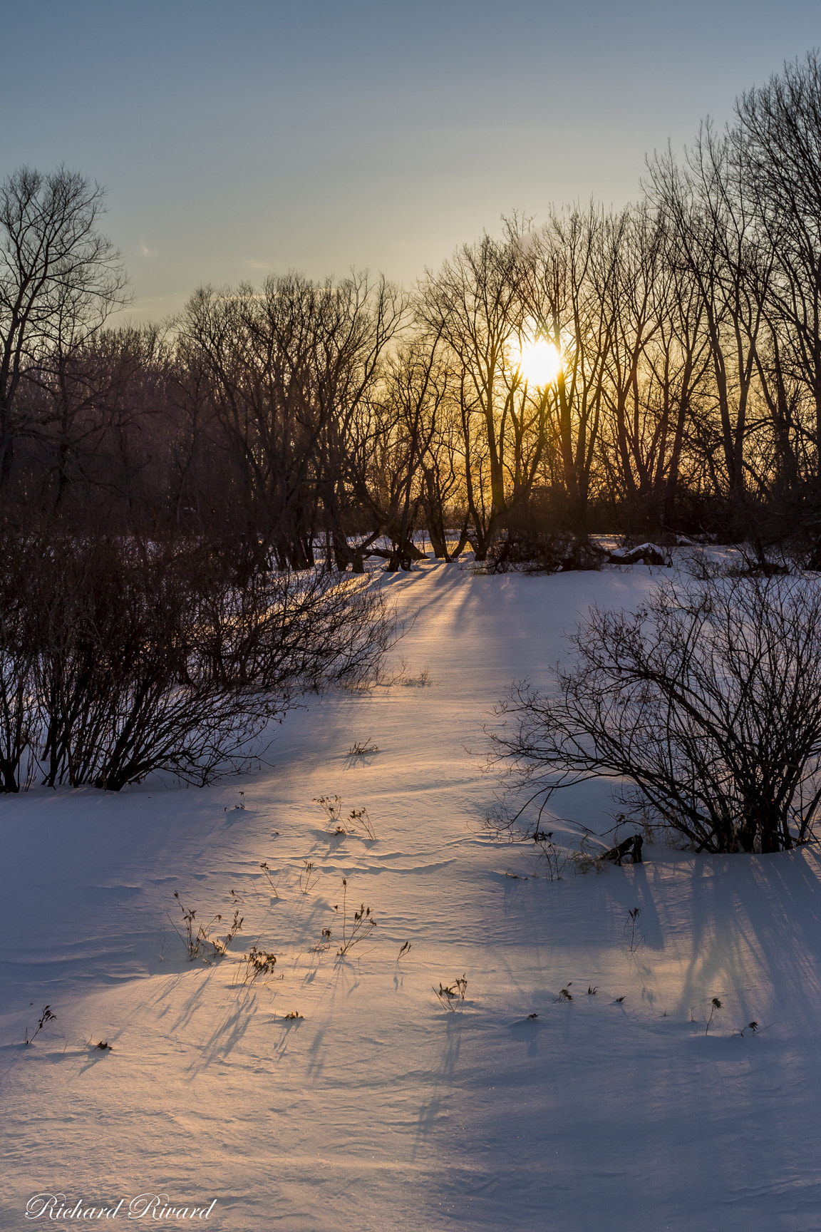 Canon EOS 700D (EOS Rebel T5i / EOS Kiss X7i) + Canon EF 17-40mm F4L USM sample photo. Good morning! photography