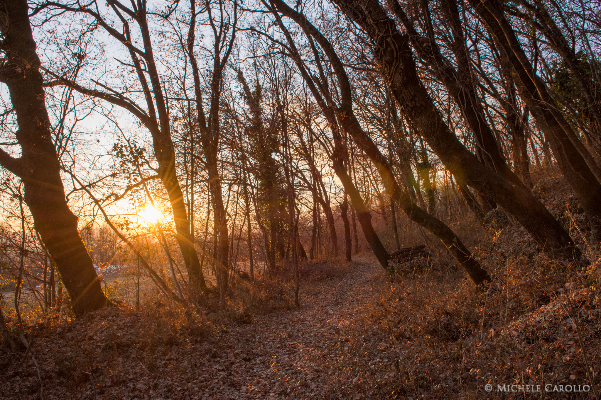 Nikon D7200 sample photo. Afternoon photography