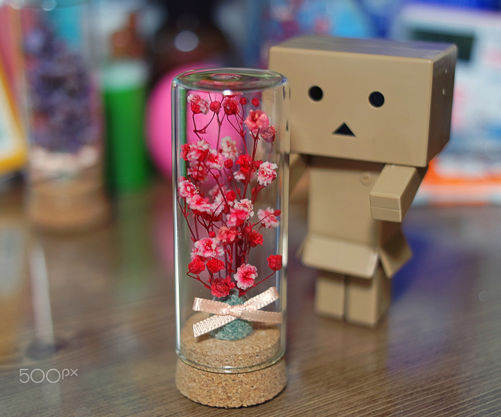 NX 30mm F2 sample photo. Preserved flower photography