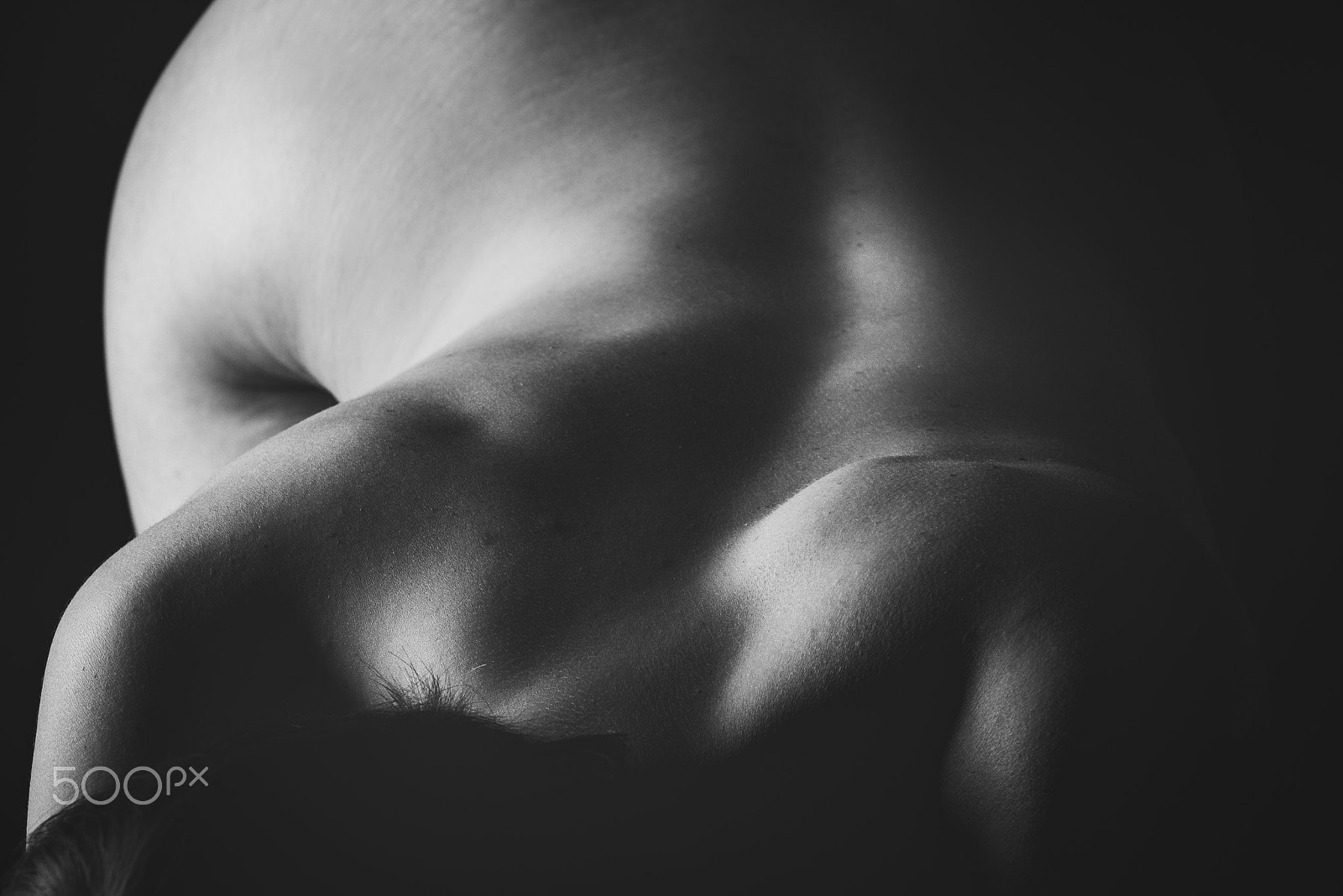 Sigma 105mm F2.8 EX DG OS HSM sample photo. Curves photography