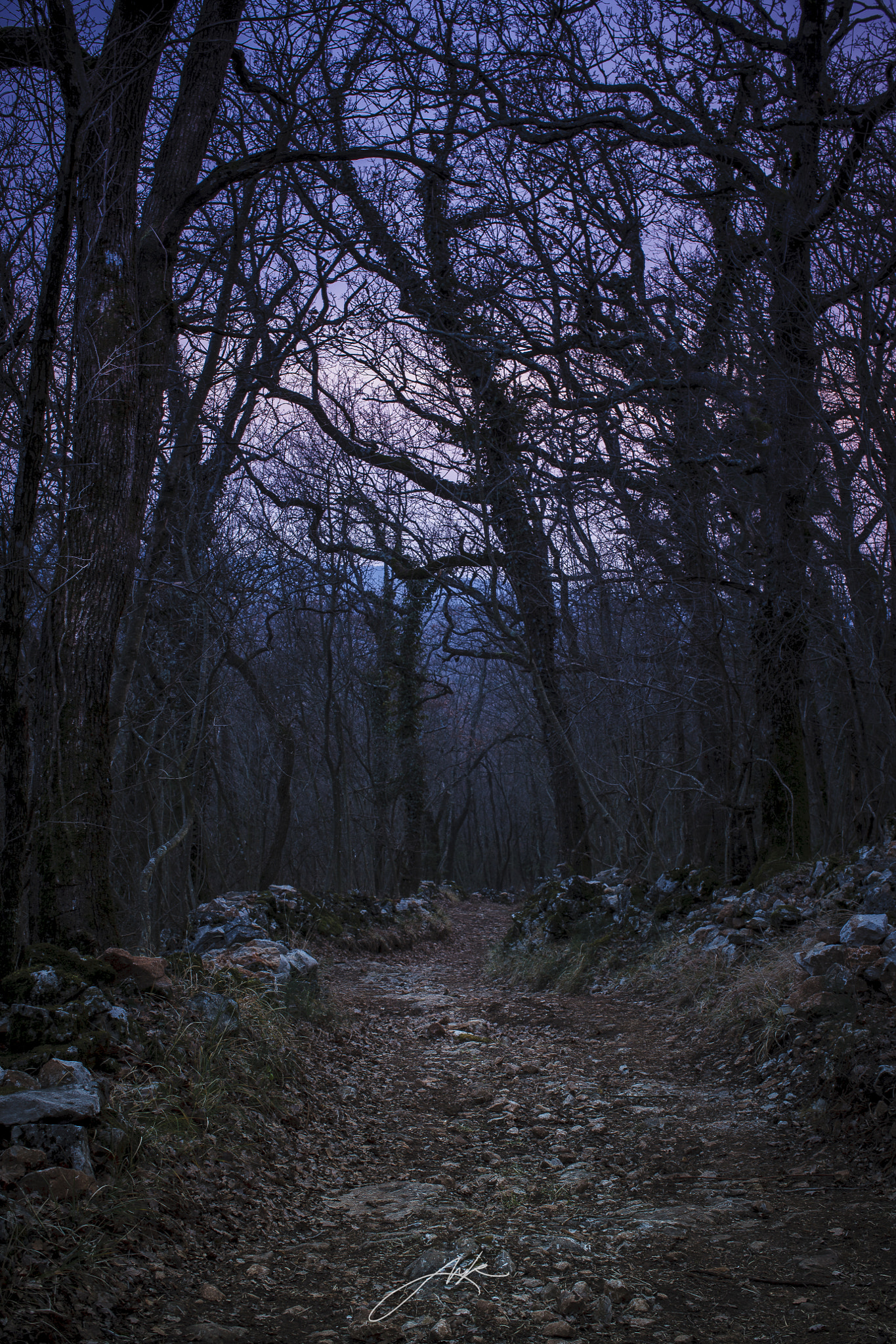 Canon EOS-1Ds Mark III sample photo. In the twilight photography
