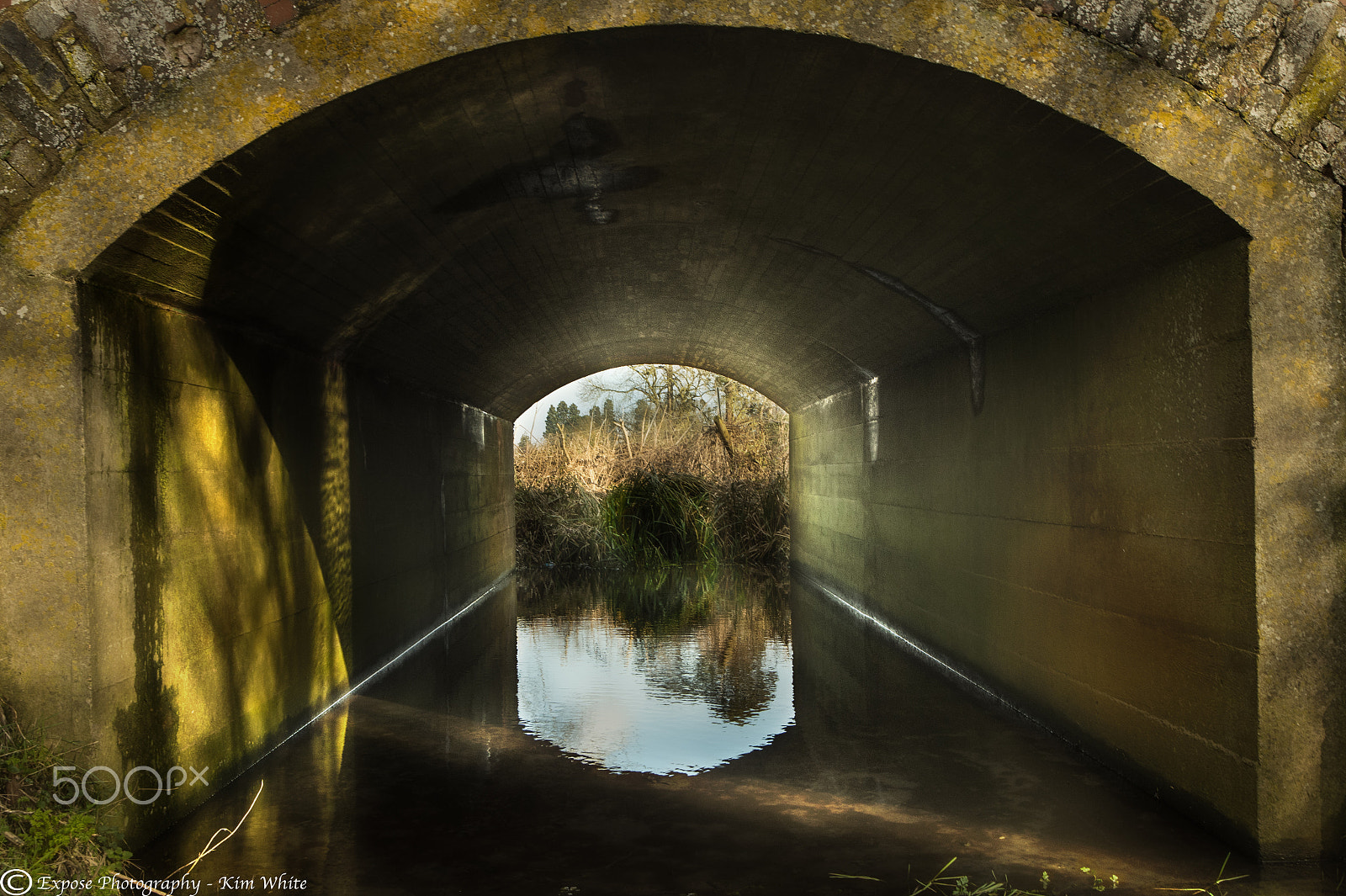 Nikon D500 sample photo. Tunneled reflection photography