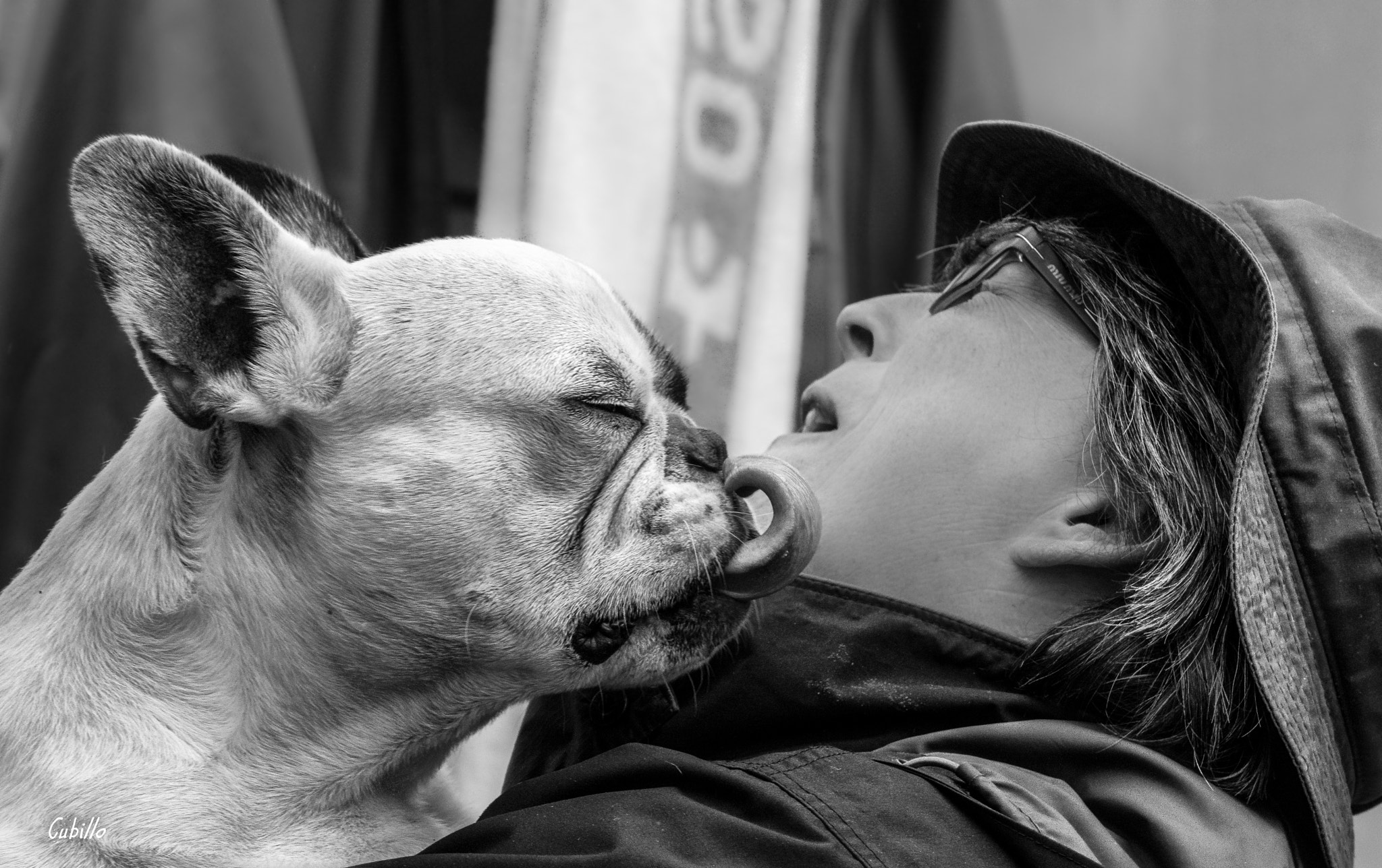 Sigma 150mm F2.8 EX DG Macro HSM sample photo. Amores perros photography