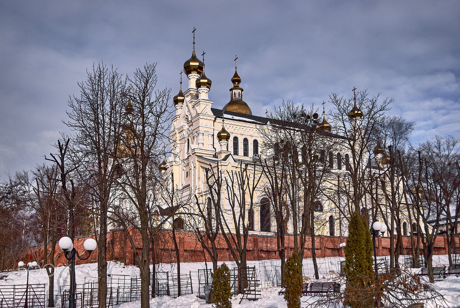 Nikon D60 sample photo. Winter kharkov photography