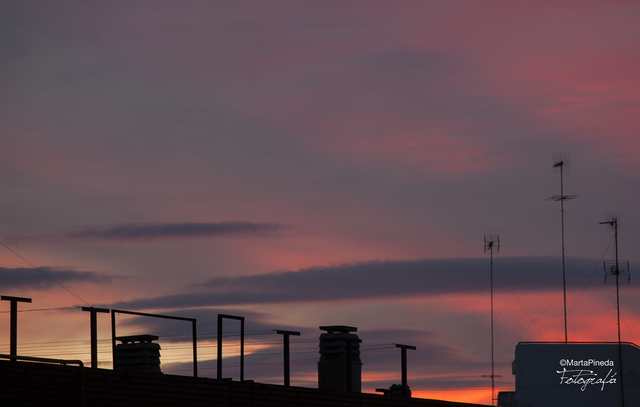 Nikon D60 sample photo. Reddish sky photography
