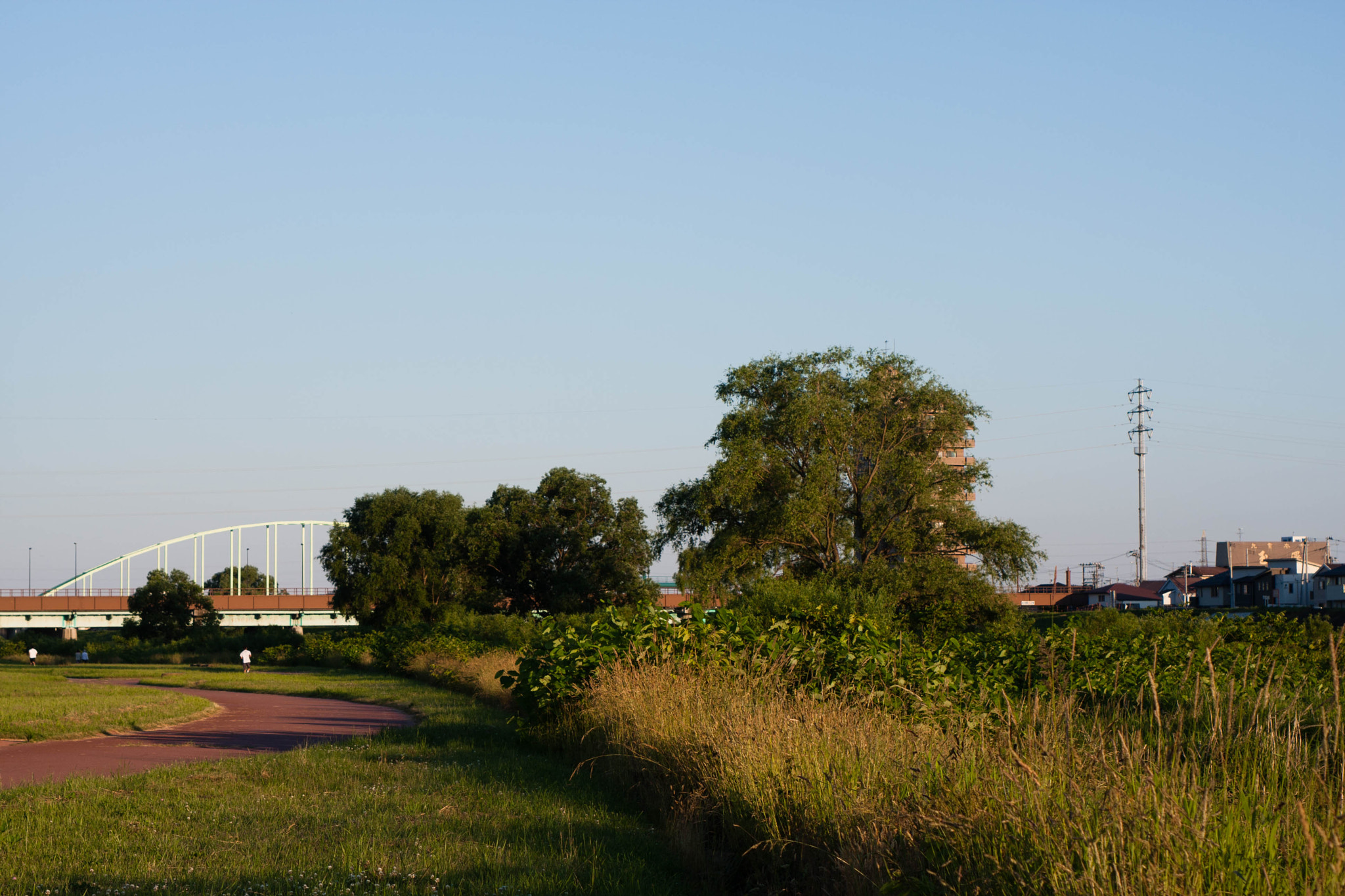 Canon EF 28-105mm f/3.5-4.5 USM sample photo. Jpeg photography