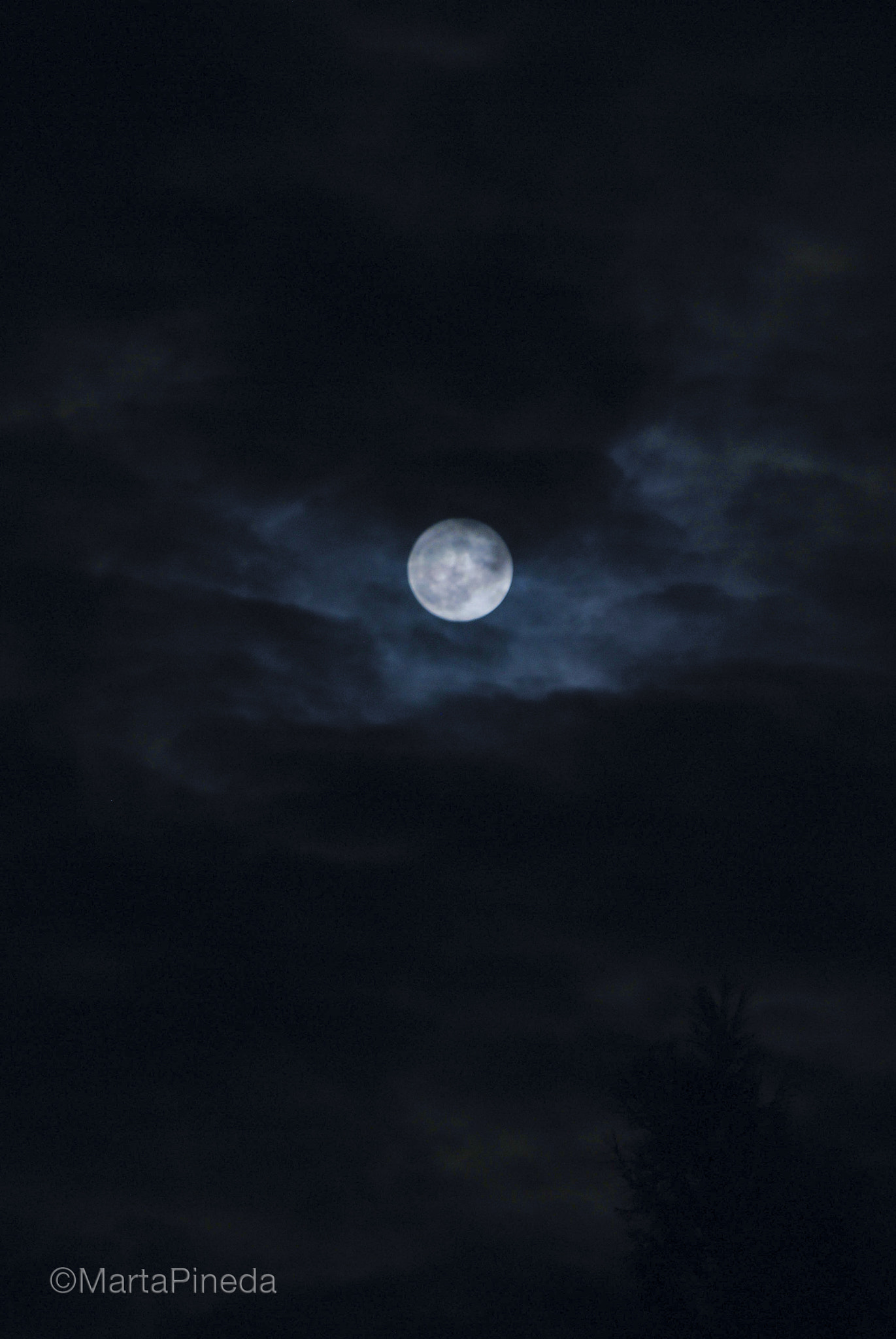 Nikon D60 sample photo. Luna photography