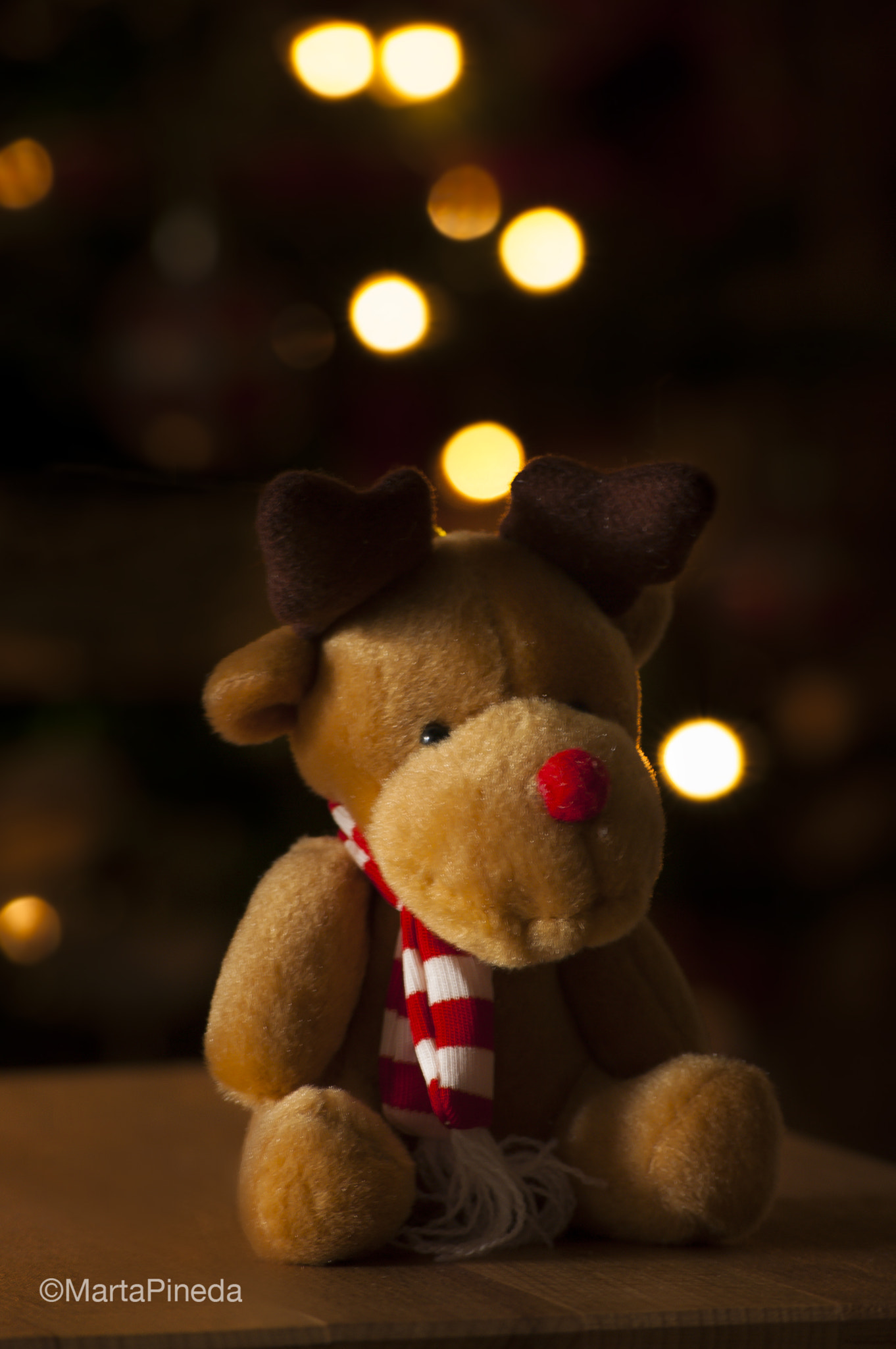 Nikon D60 sample photo. Navidad photography