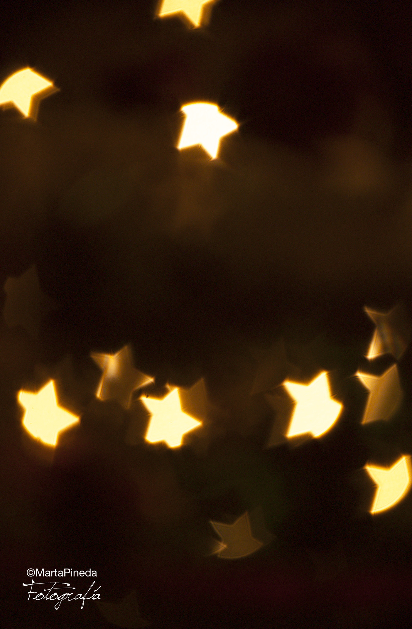 Nikon D60 sample photo. Estrellitas photography