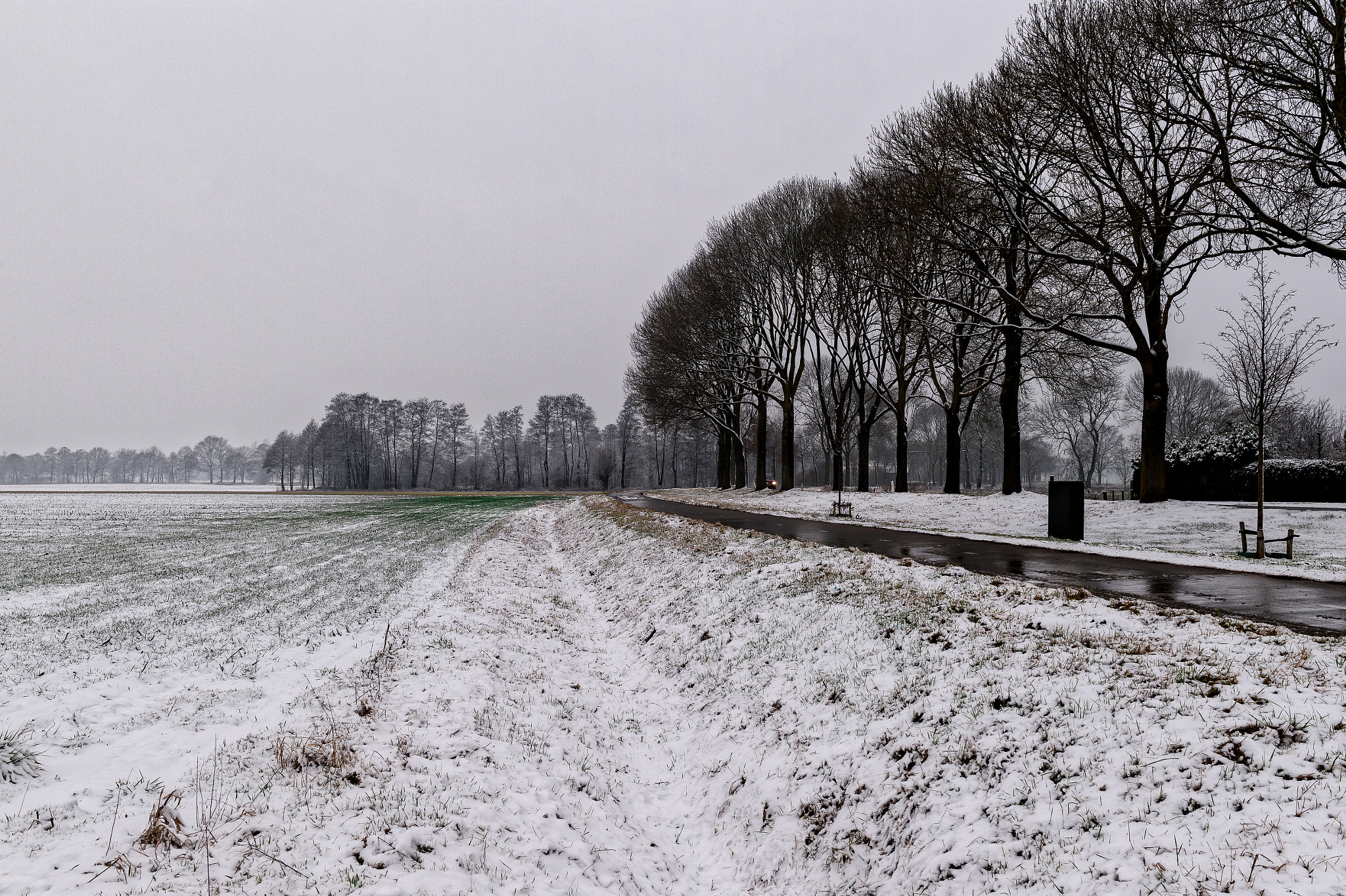 Nikon D4S sample photo. The beauty of simple landscape ! photography