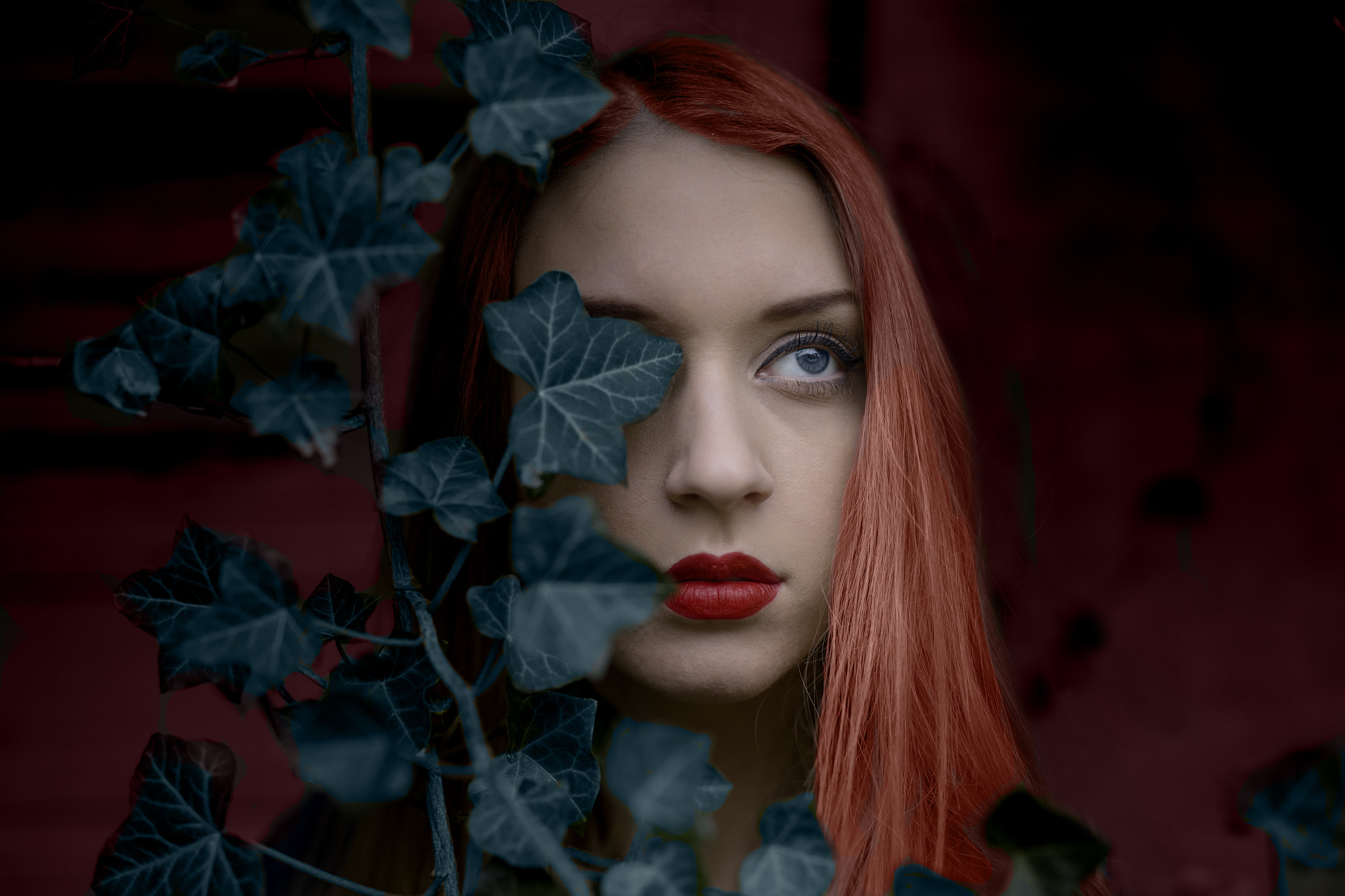 Canon EOS 6D + ZEISS Milvus 50mm F1.4 sample photo. Lucie photography