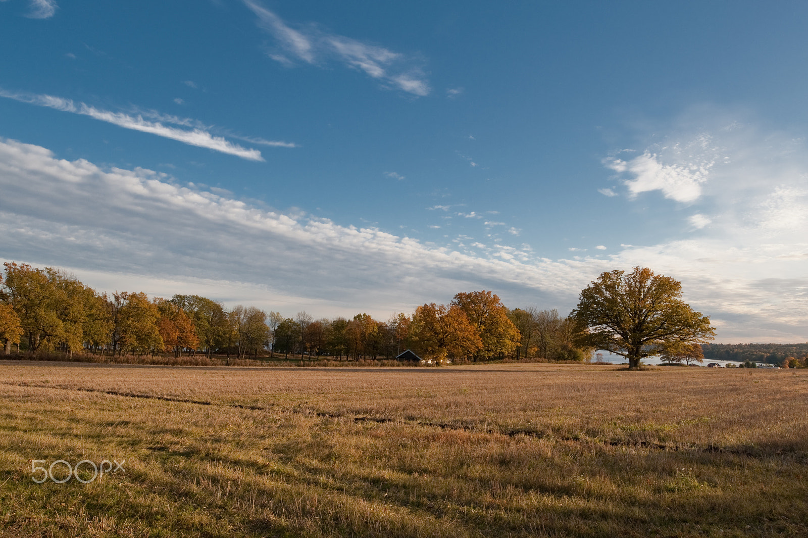 Nikon D700 + Nikon PC-E Nikkor 24mm F3.5D ED Tilt-Shift sample photo. Borre photography