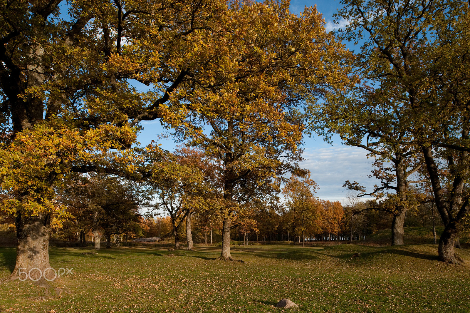 Nikon D700 + Nikon PC-E Nikkor 24mm F3.5D ED Tilt-Shift sample photo. Borre photography