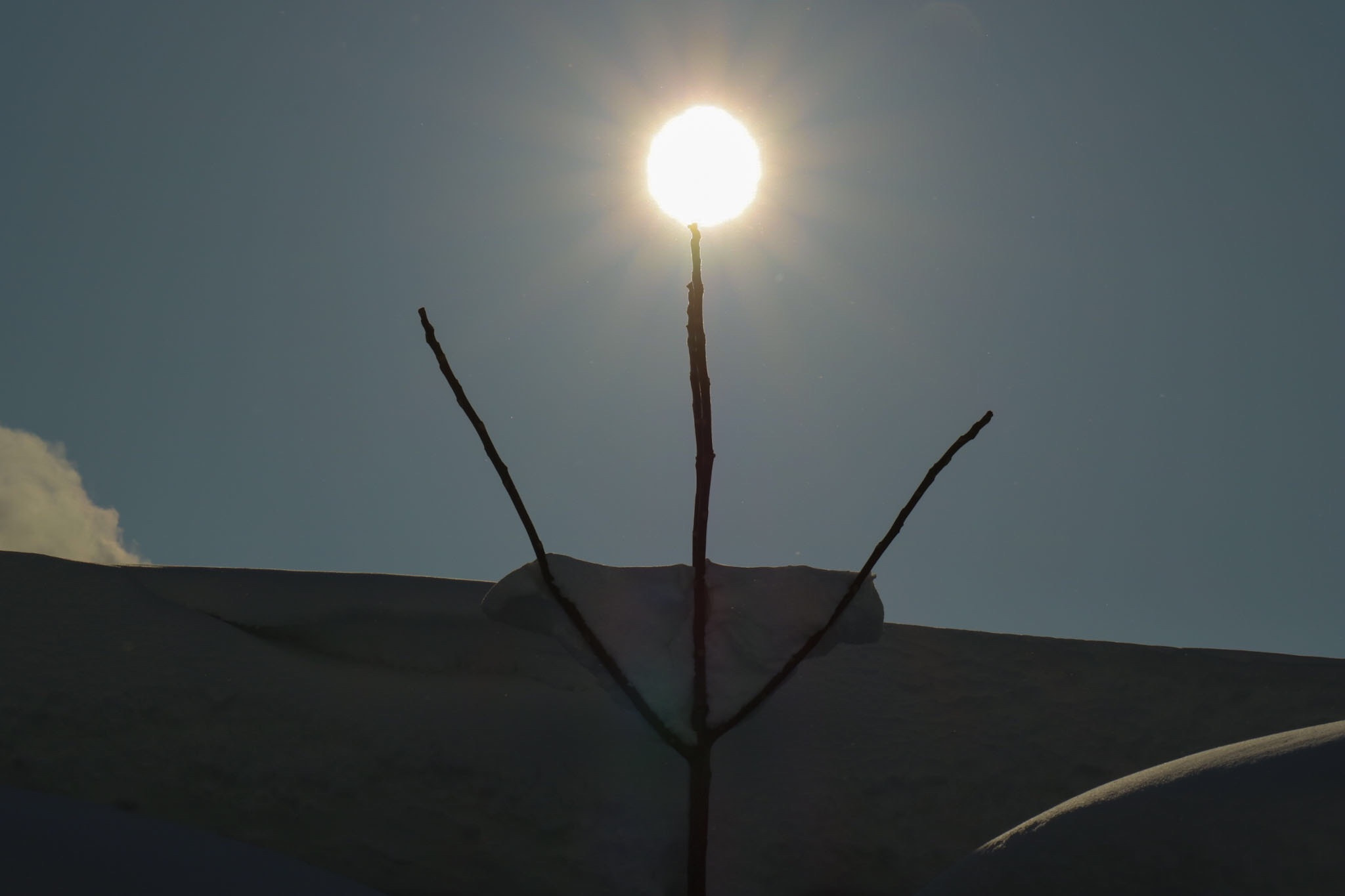 Canon EOS M3 sample photo