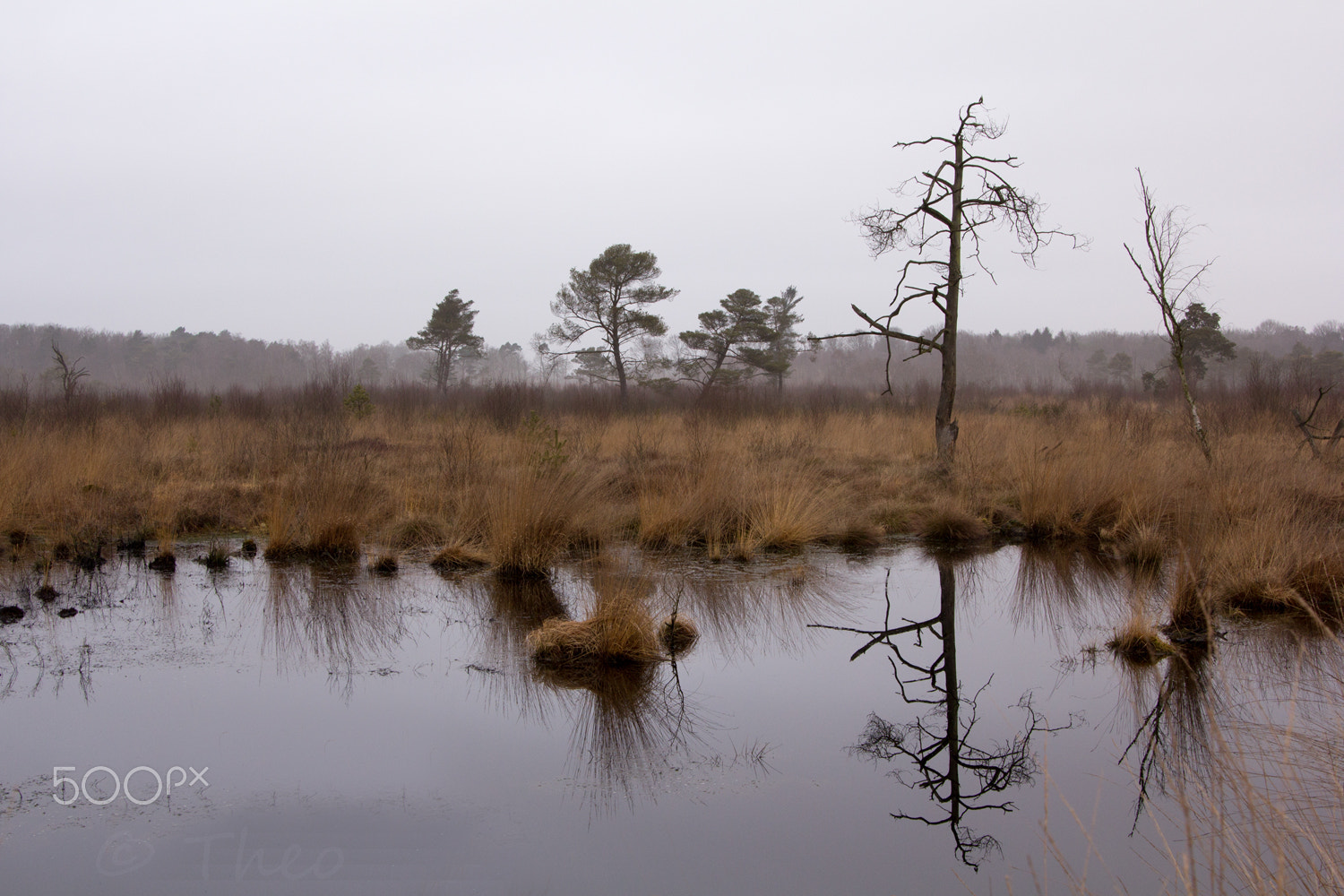 Canon EOS 60D sample photo. Wooldse veen photography