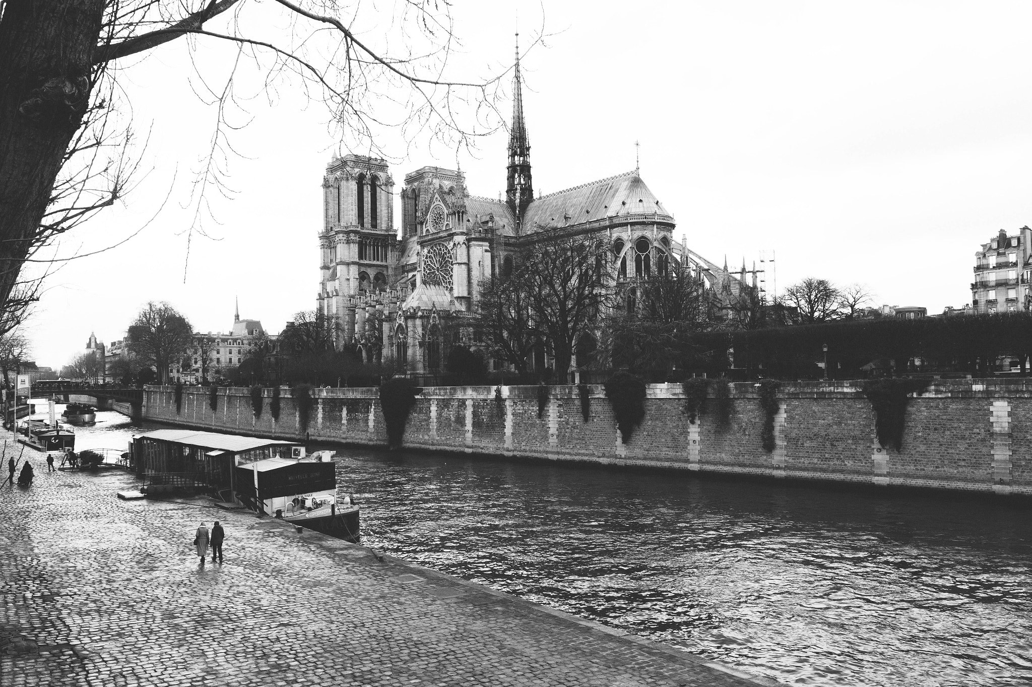 Sigma 18-35mm f/1.8 DC HSM sample photo. Notre dame photography