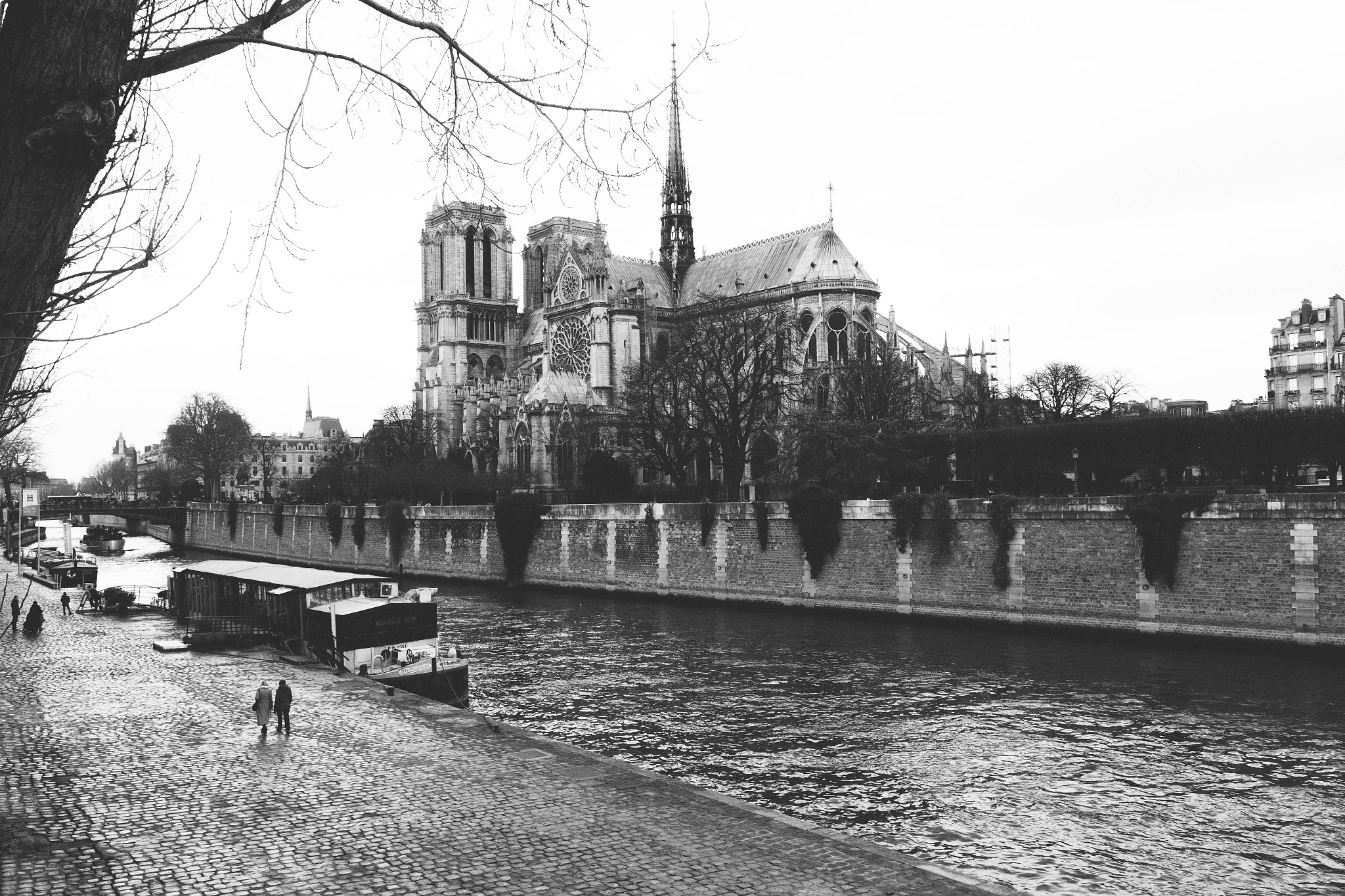 Canon EOS 60D + Sigma 18-35mm f/1.8 DC HSM sample photo. Notre dame photography