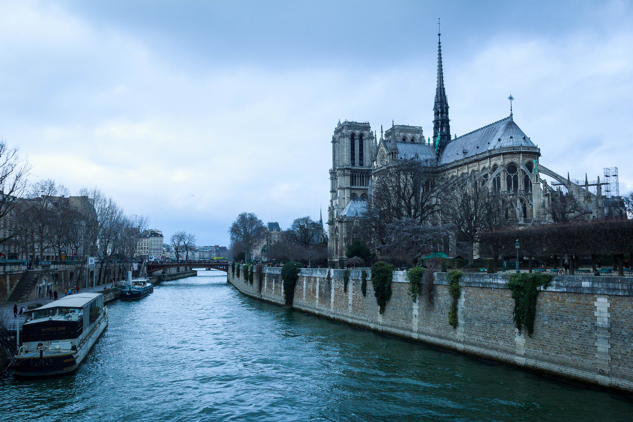 Canon EOS 60D + Sigma 18-35mm f/1.8 DC HSM sample photo. Notre dame photography
