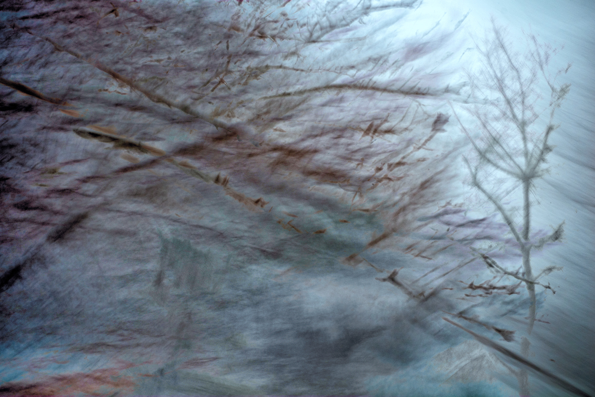 Fujifilm XF 35mm F1.4 R sample photo. Snowstorm abstract photography