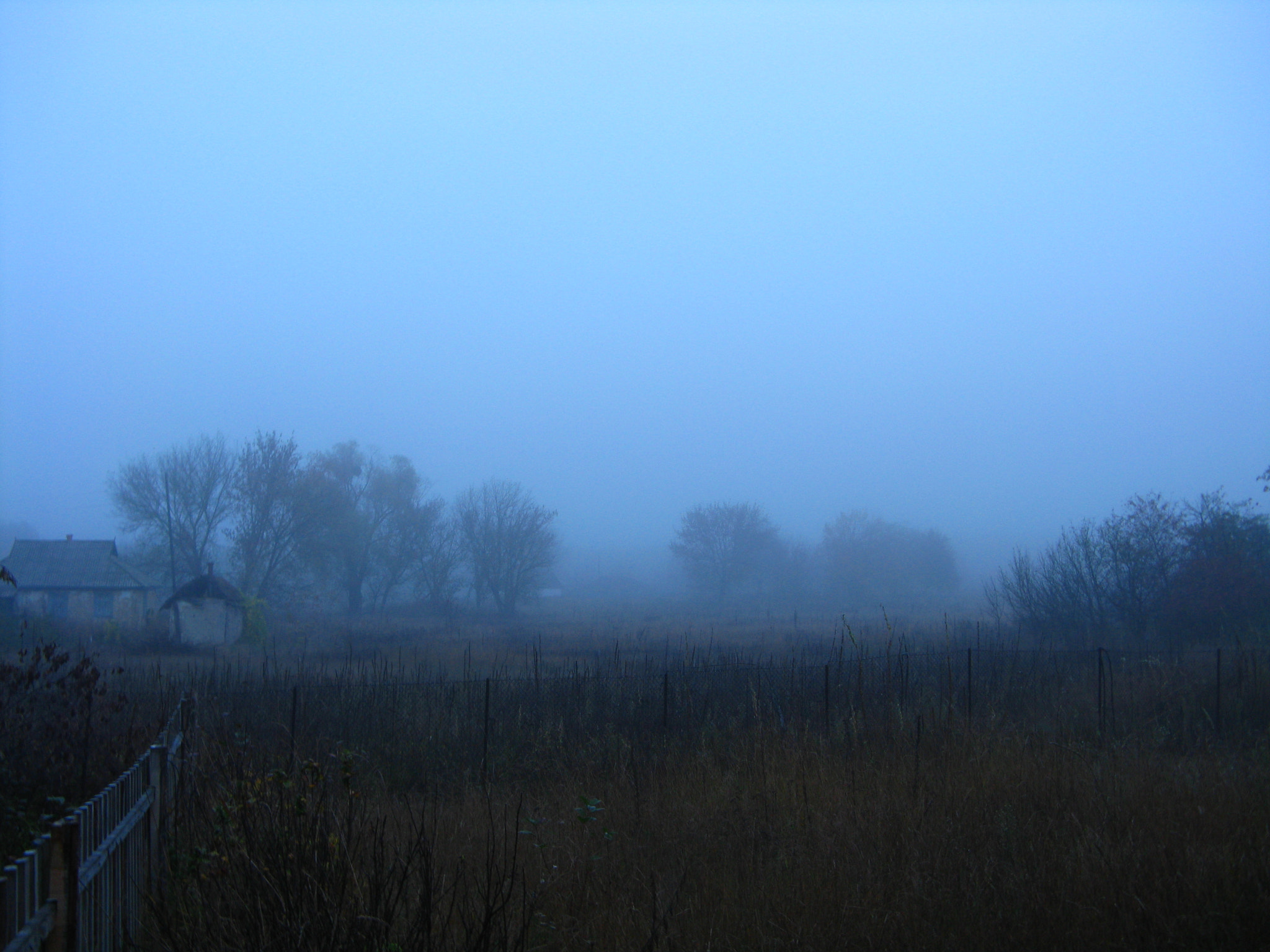 Canon POWERSHOT A720 IS sample photo. Fog... photography