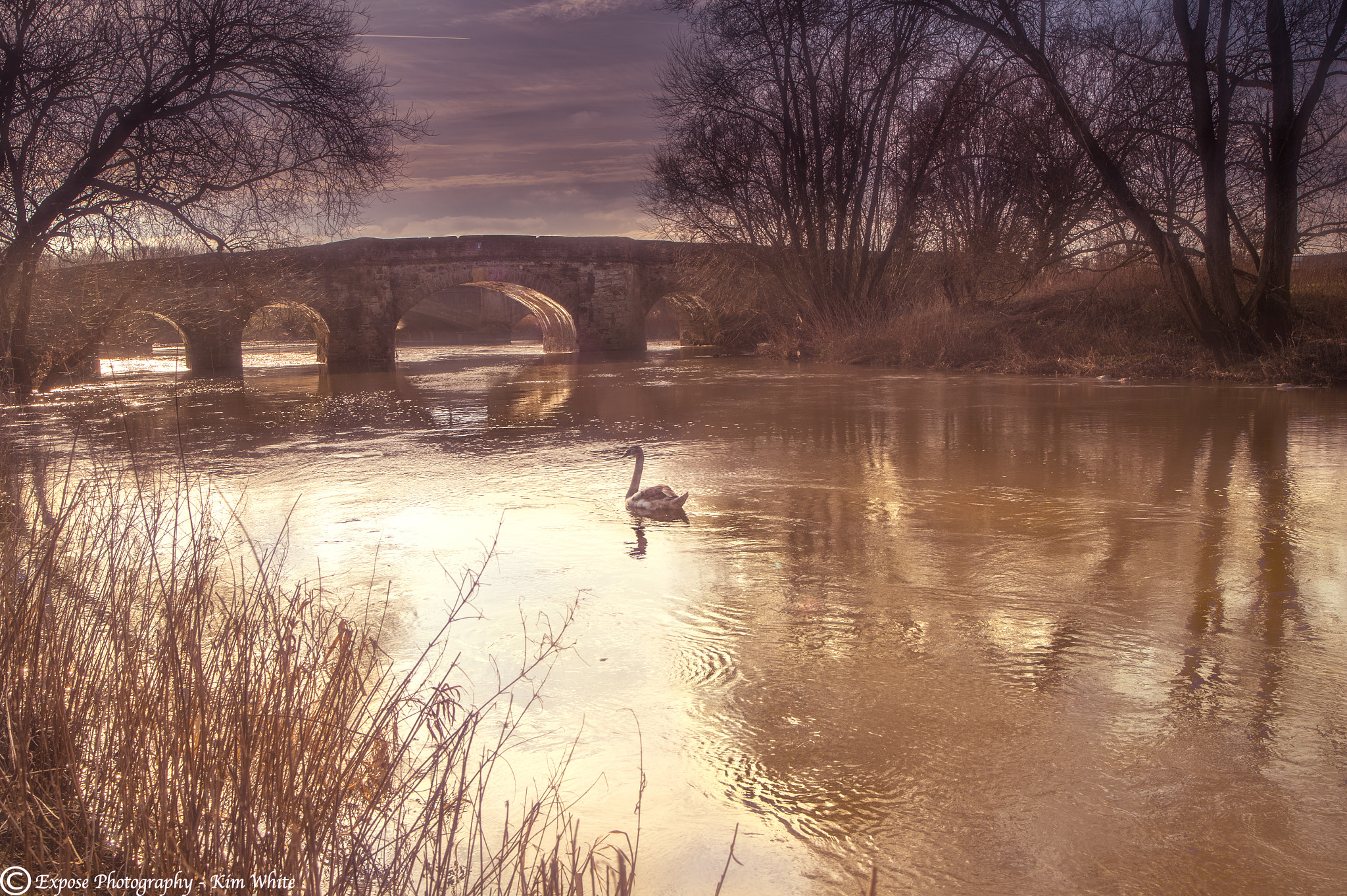 Nikon D500 sample photo. Single signet paddle photography