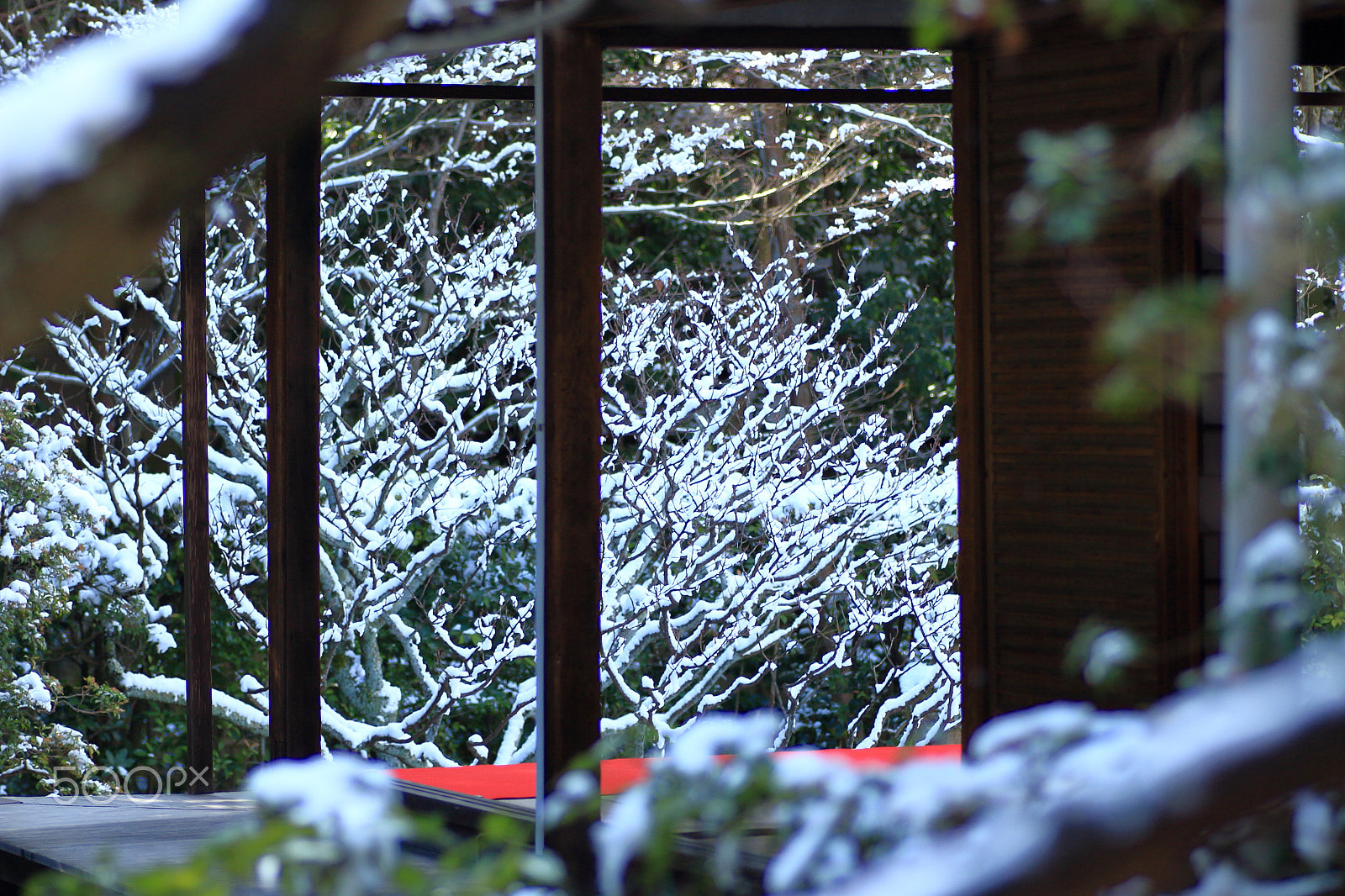 Canon EOS 100D (EOS Rebel SL1 / EOS Kiss X7) + Tamron SP AF 90mm F2.8 Di Macro sample photo. Shin-nyo garden photography