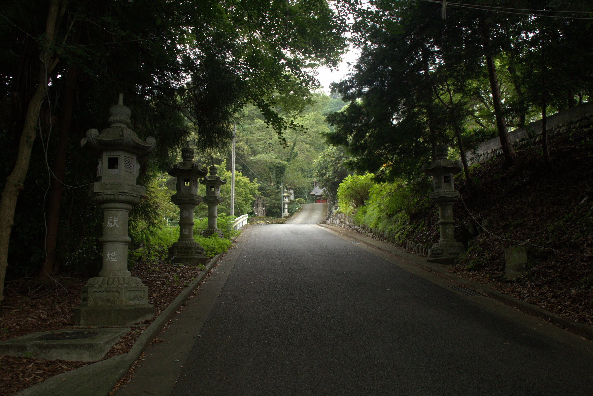 Canon EF 28-105mm f/3.5-4.5 USM sample photo. Walking past the temple photography