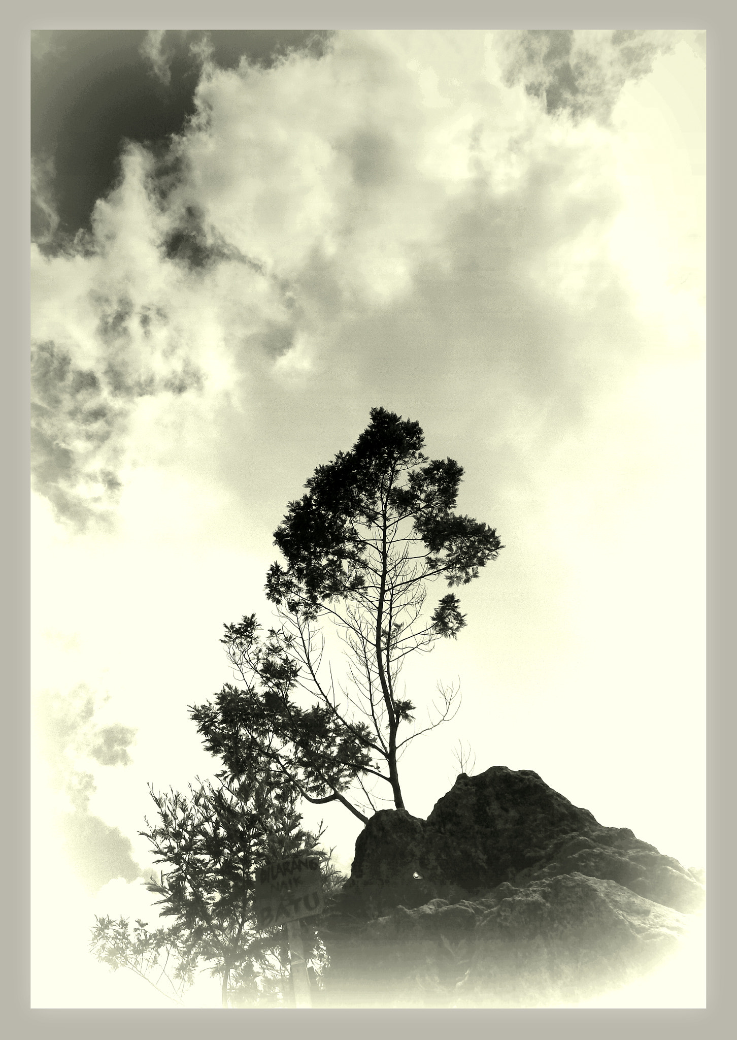 Ricoh WG-4 sample photo. Optimism photography