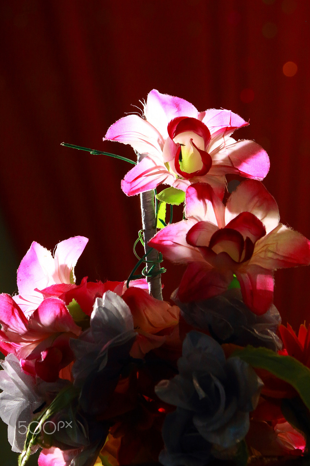 Canon EF-S 55-250mm F4-5.6 IS II sample photo. *** photography