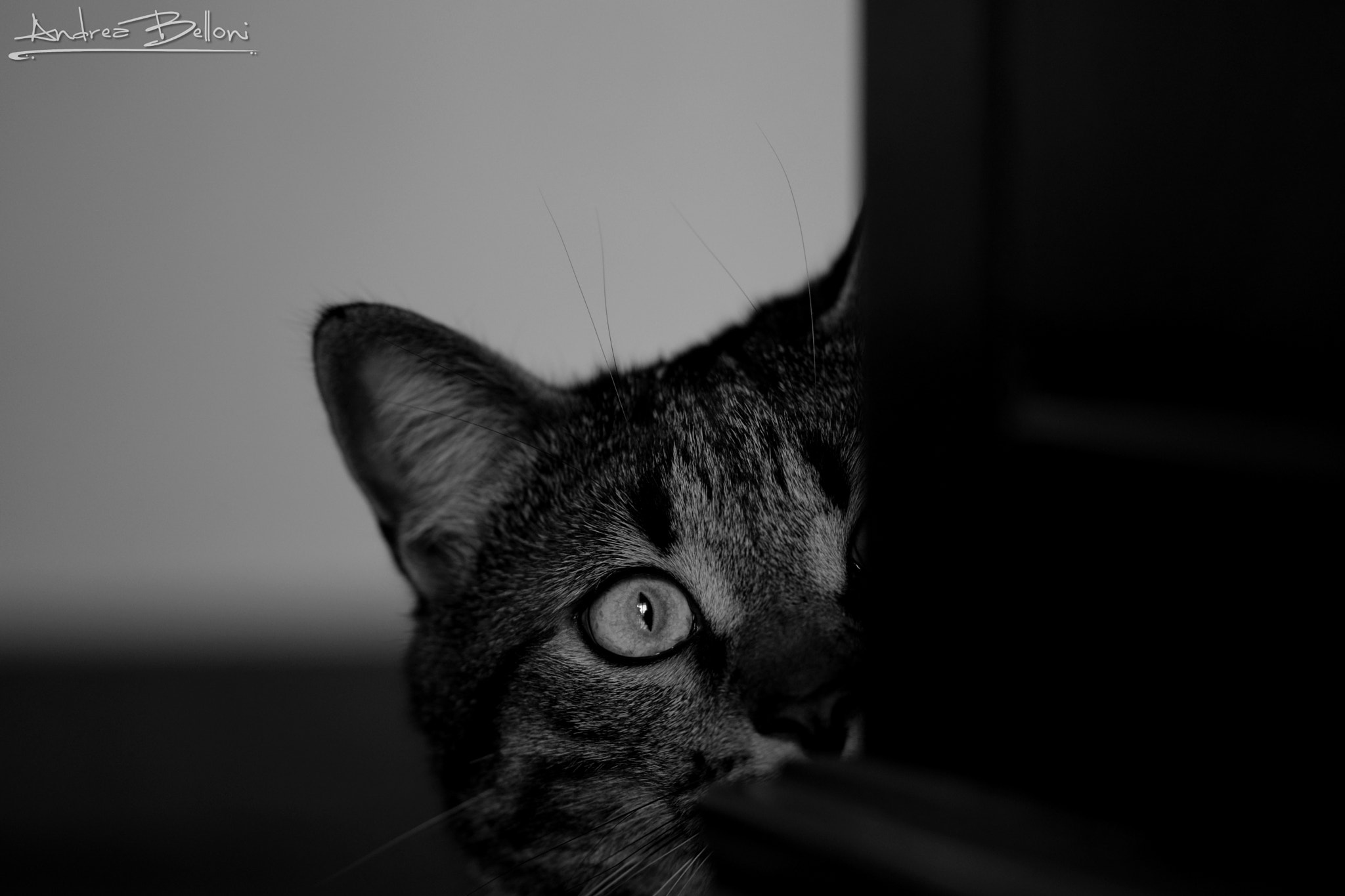 Sigma 105mm F2.8 EX DG OS HSM sample photo. Hunting photography