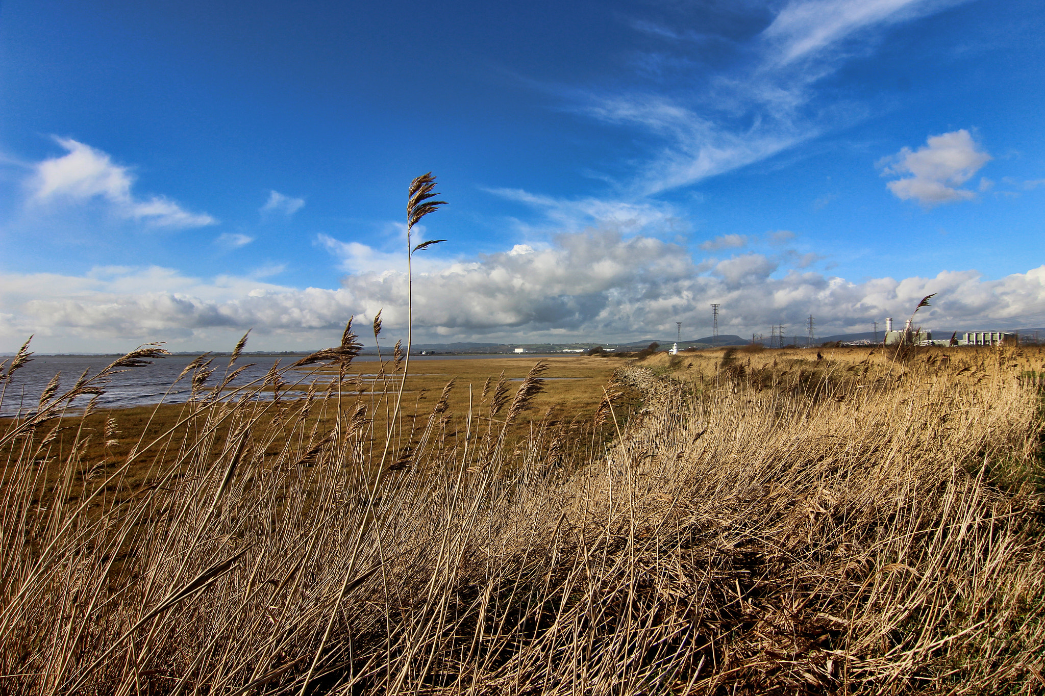 Tokina AT-X Pro 12-24mm F4 (IF) DX sample photo. Winter coast photography