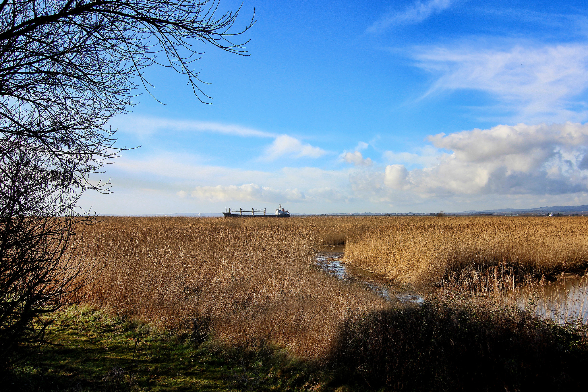 Tokina AT-X Pro 12-24mm F4 (IF) DX sample photo. The long voyage photography