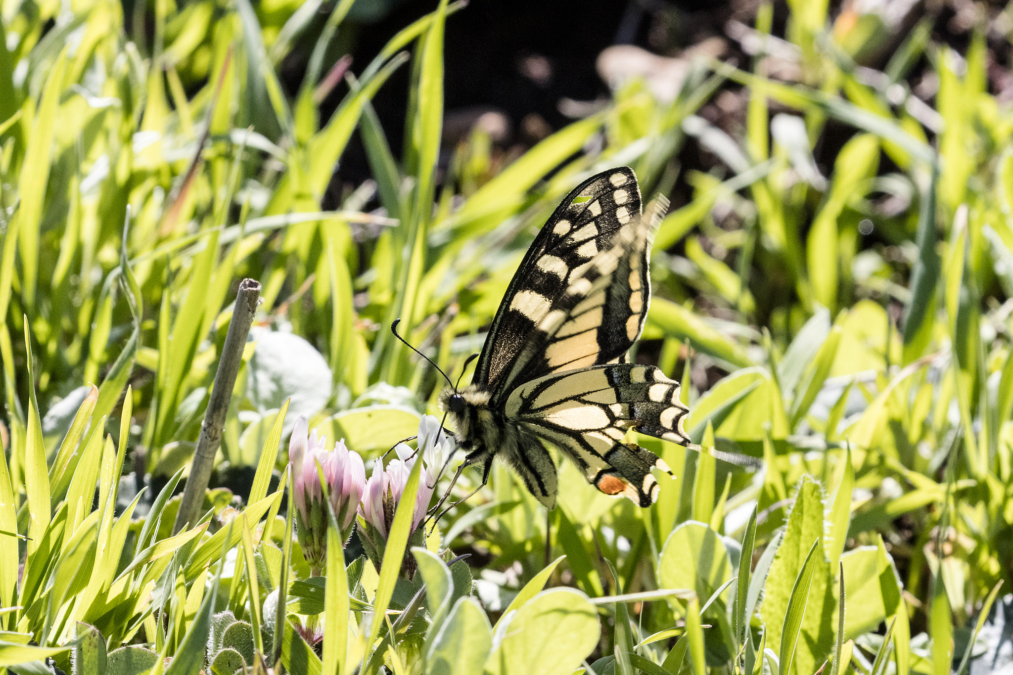 Canon EOS 5DS sample photo. Spring lunch photography