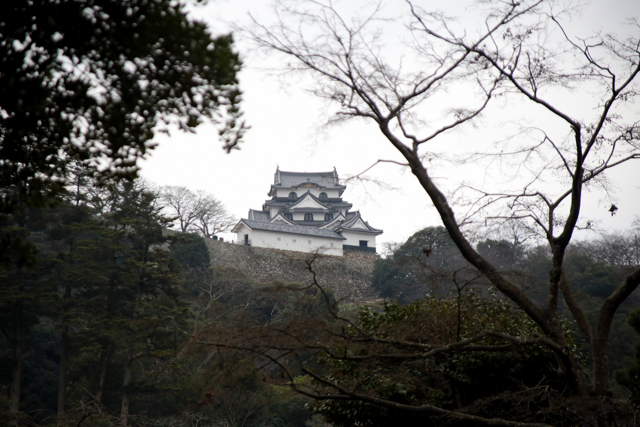 Canon EF 28-105mm f/3.5-4.5 USM sample photo. Hikone castle in the trees photography