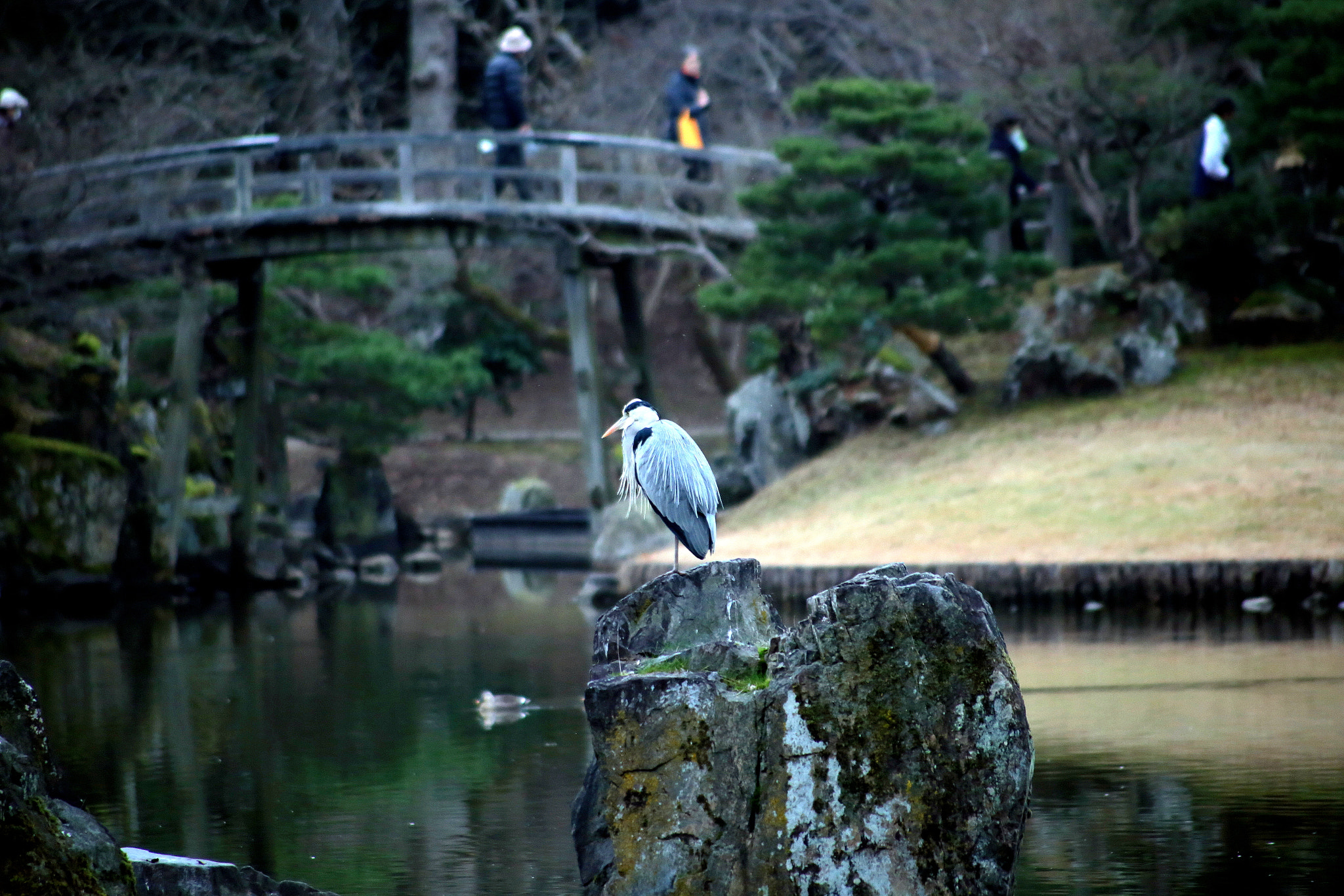 Canon EF 100-300mm F4.5-5.6 USM sample photo. Resting by the waters photography