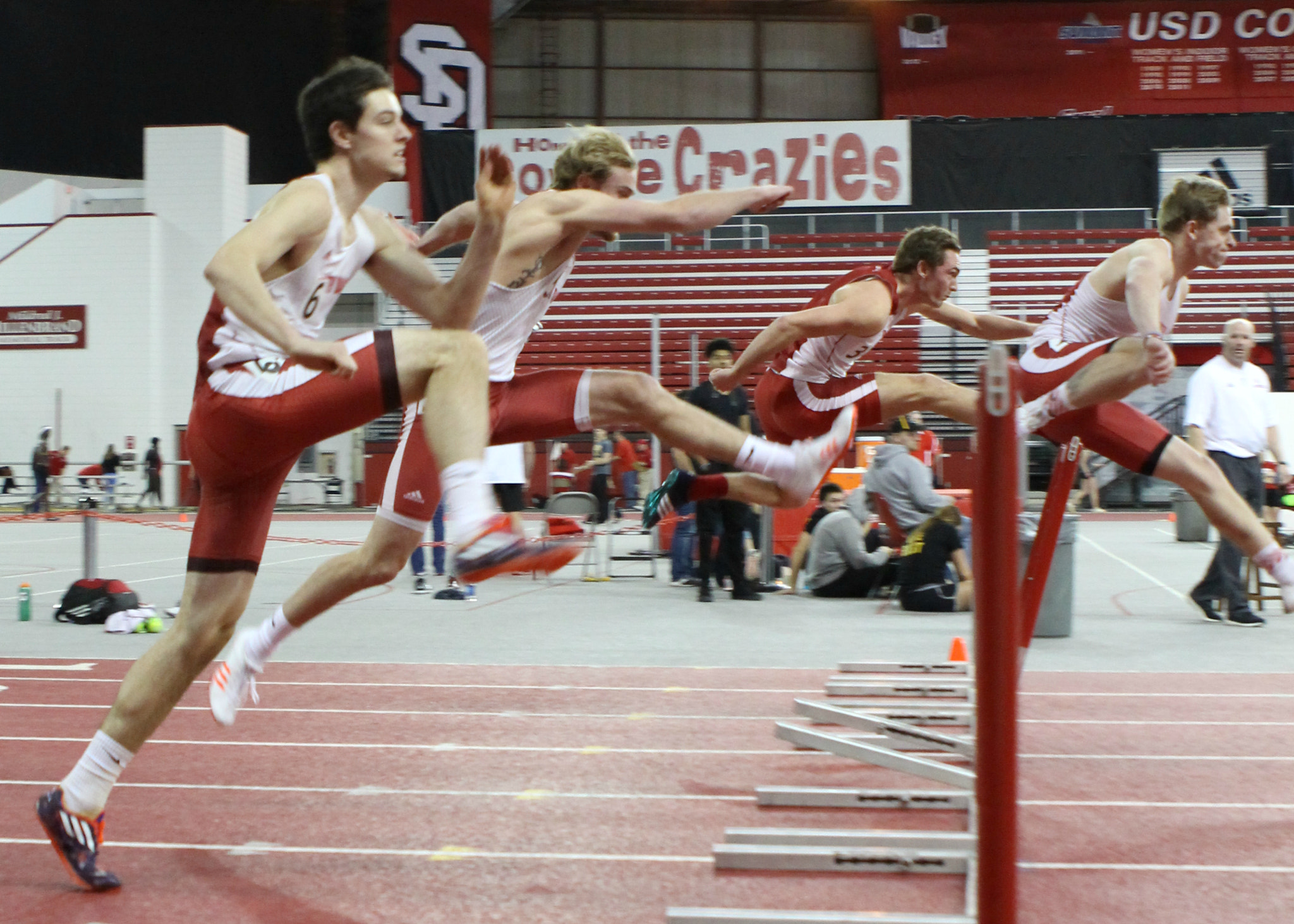 Canon EF 24-70mm F2.8L USM sample photo. Lords a-leaping photography
