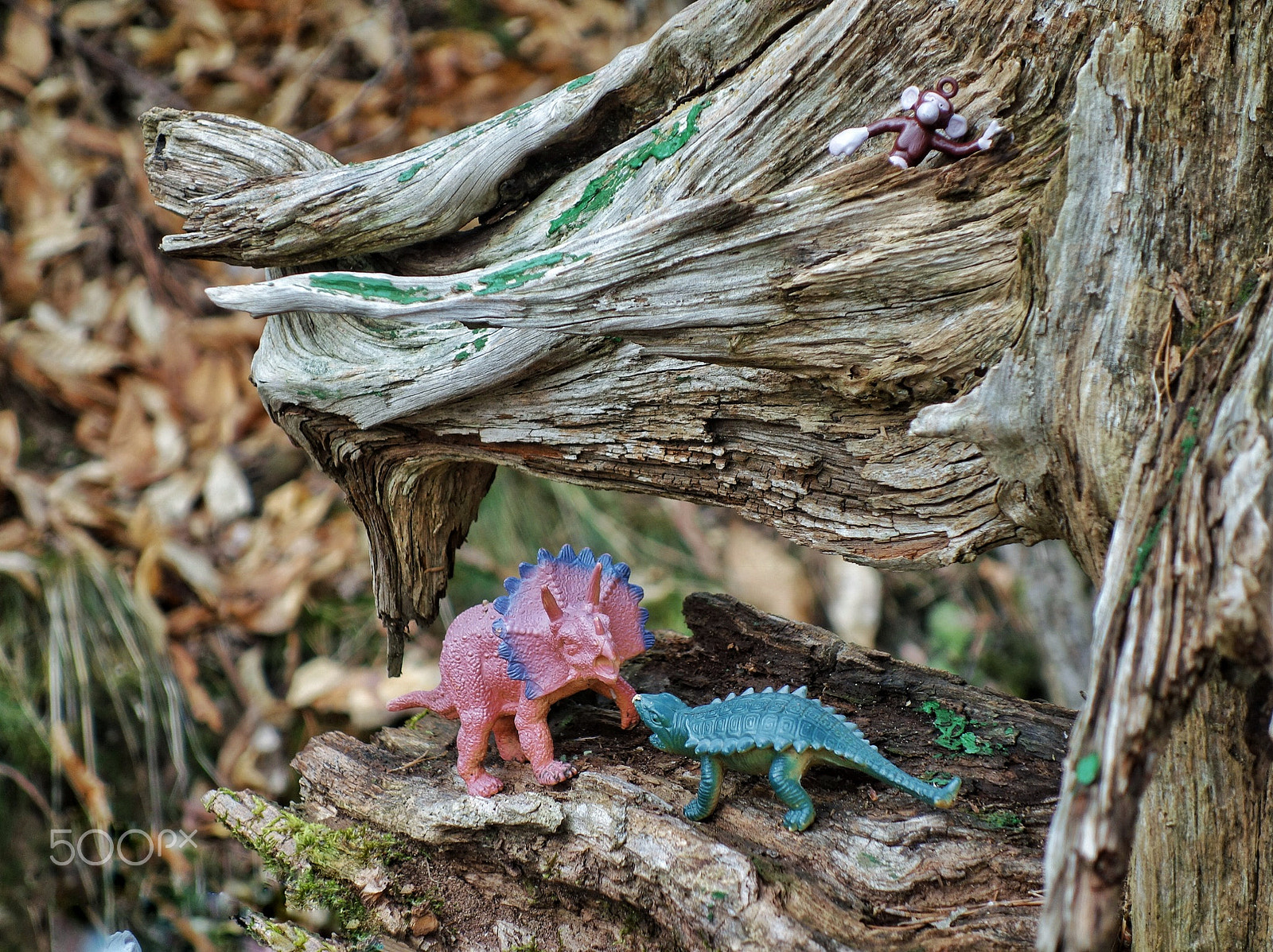 Sony Cyber-shot DSC-RX100 + Sony 28-100mm F1.8-4.9 sample photo. Weinsteig pflaz photography
