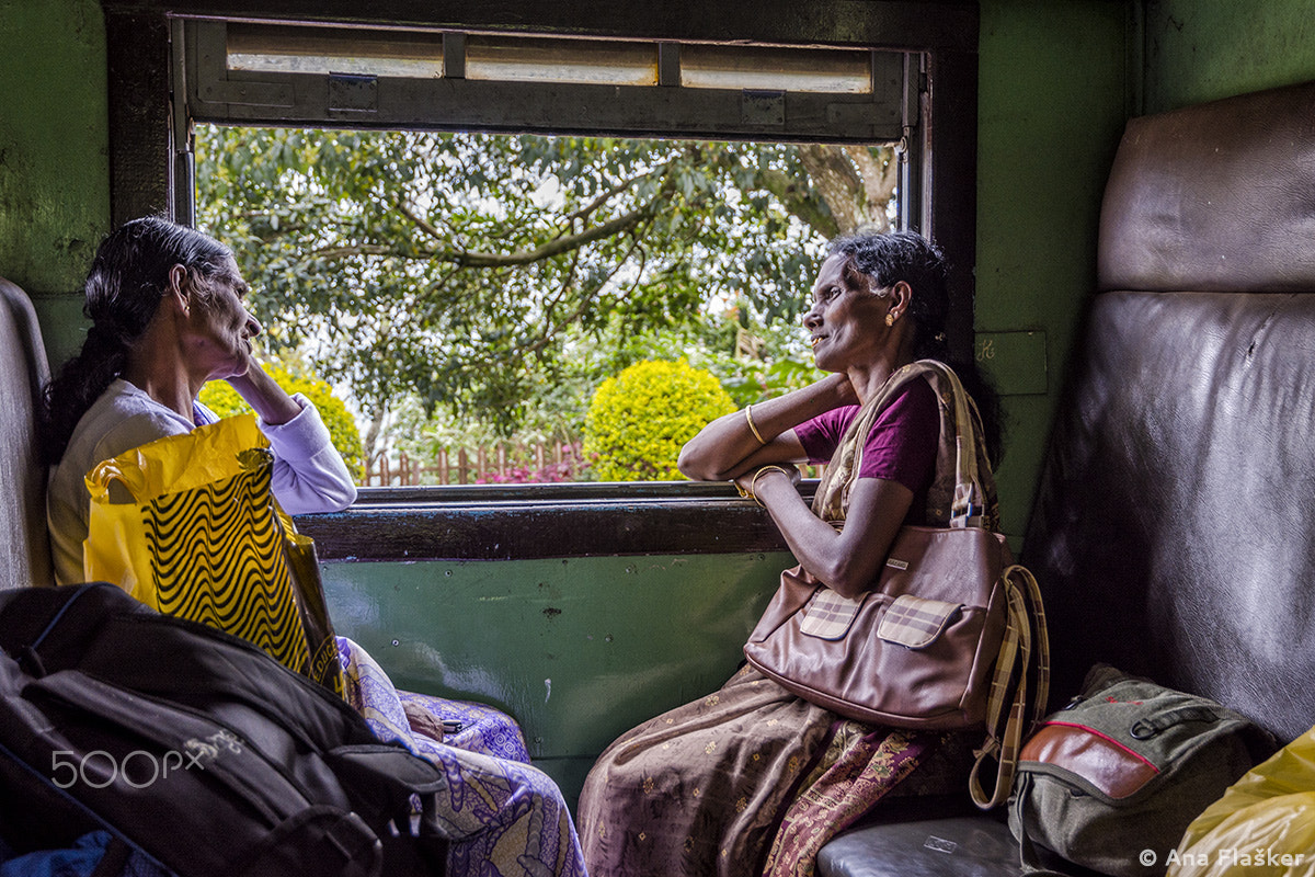 Nikon D7200 sample photo. Train windows photography