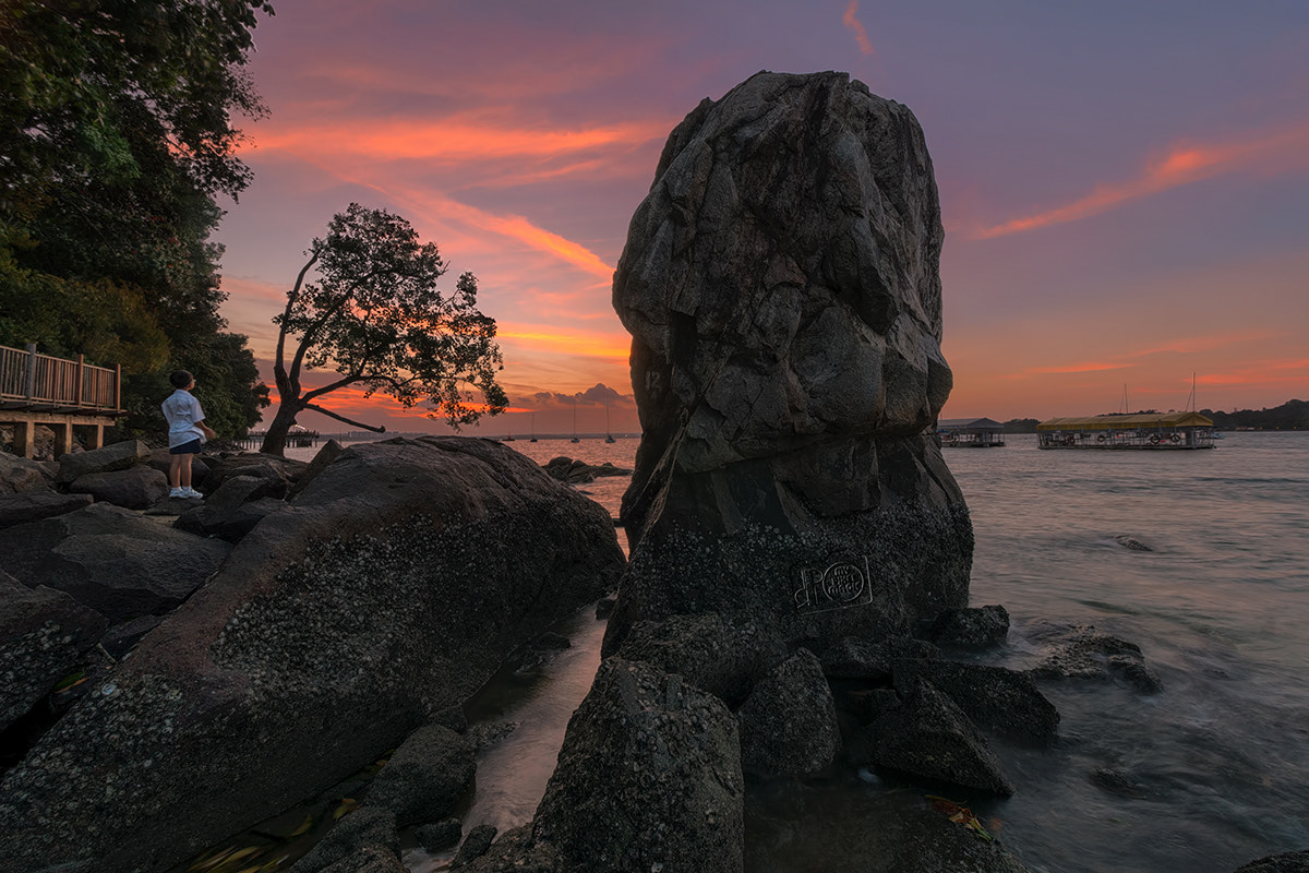 Sony a6000 + Sony DT 50mm F1.8 SAM sample photo. Alone photography