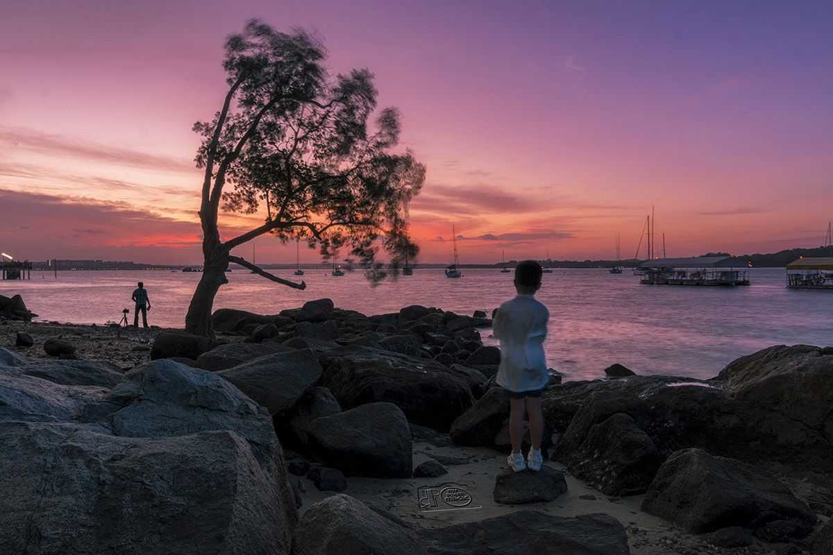 Sony a6000 + Sony DT 50mm F1.8 SAM sample photo. Into the nature photography