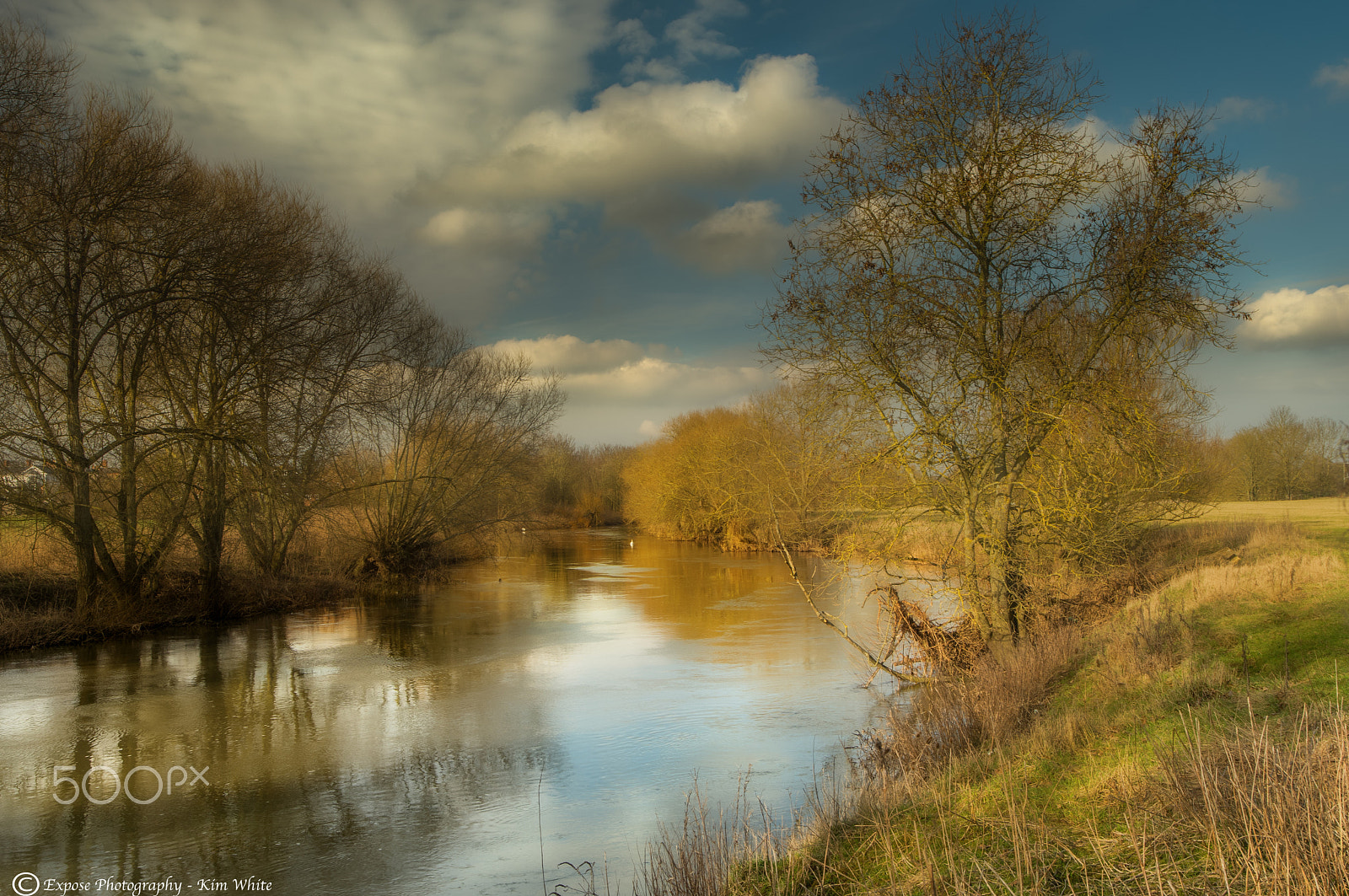 Nikon D500 sample photo. Tales of another riverbank photography